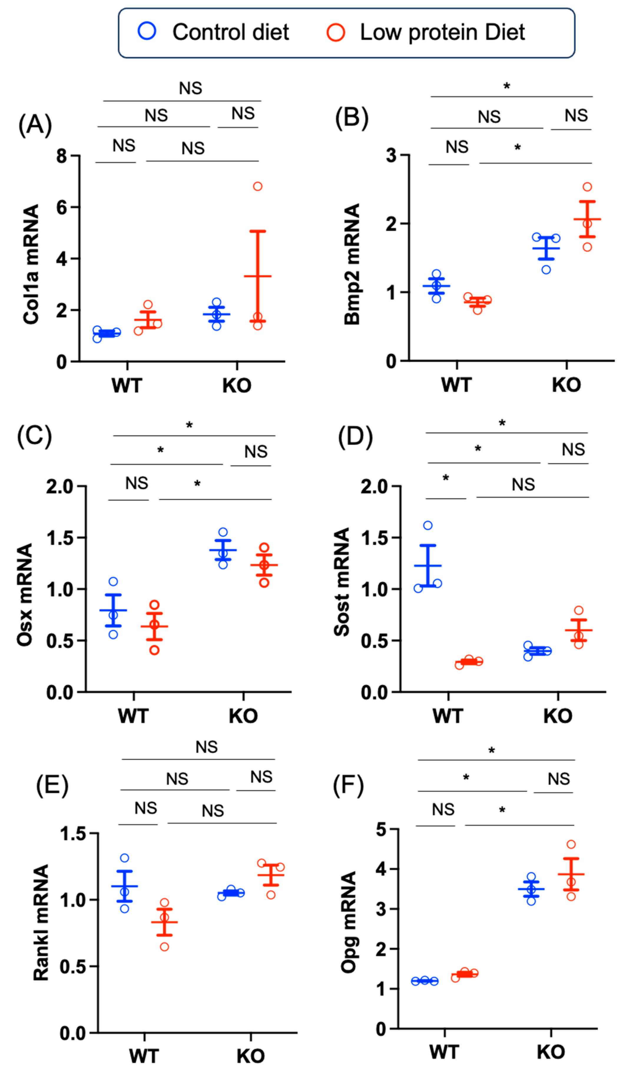 Nutrients 17 00488 g008