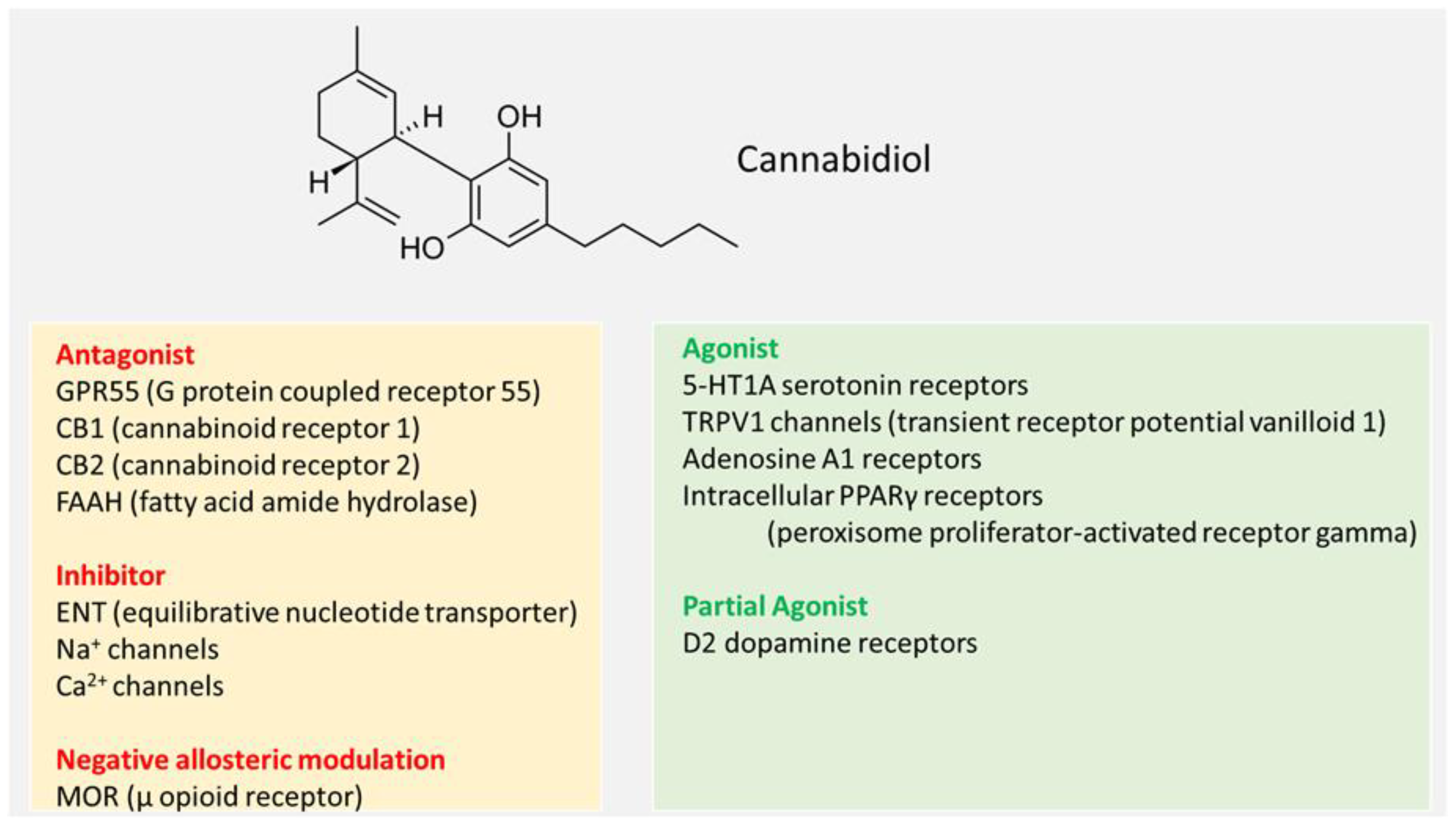 Nutrients 17 00489 g001 Nutrients 17 00489 g001