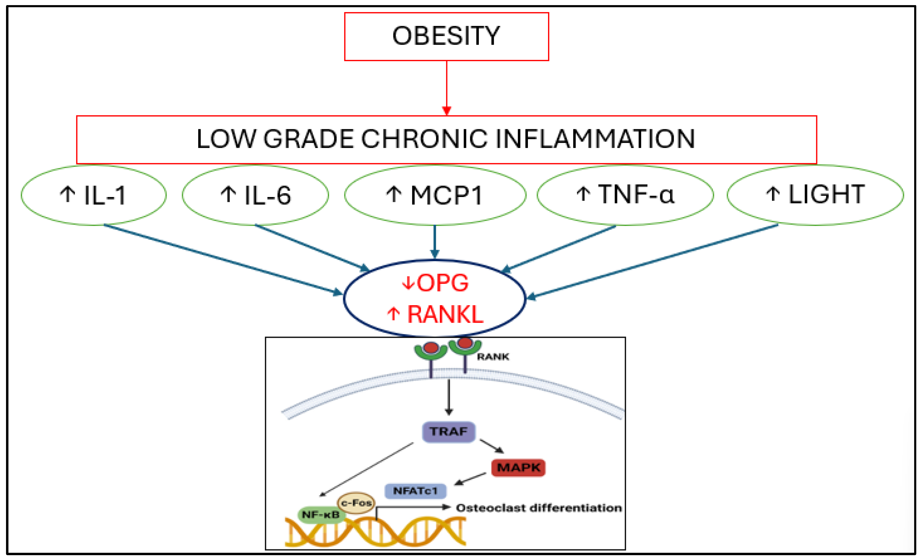 Nutrients 17 00491 g001