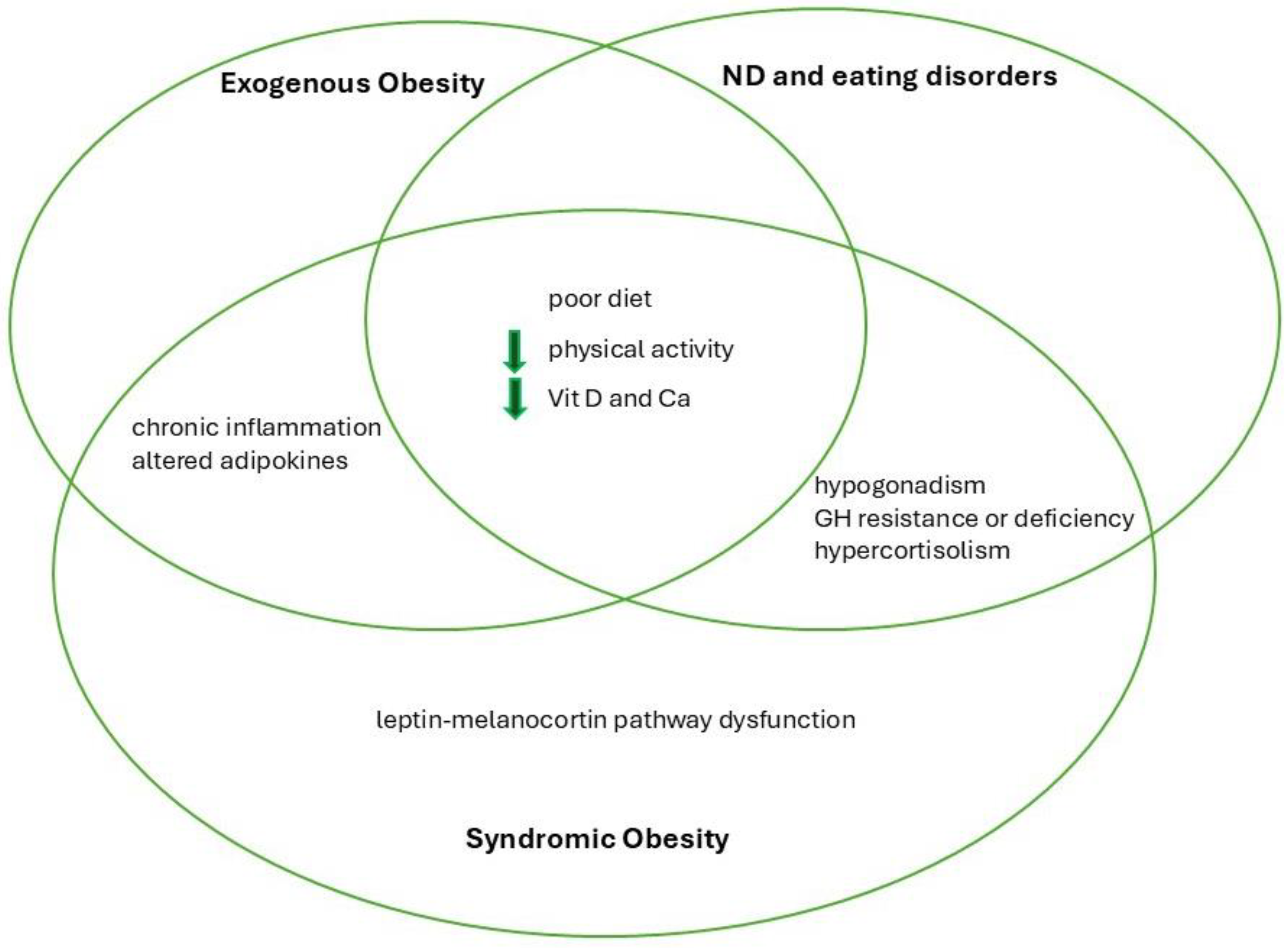 Nutrients 17 00491 g002