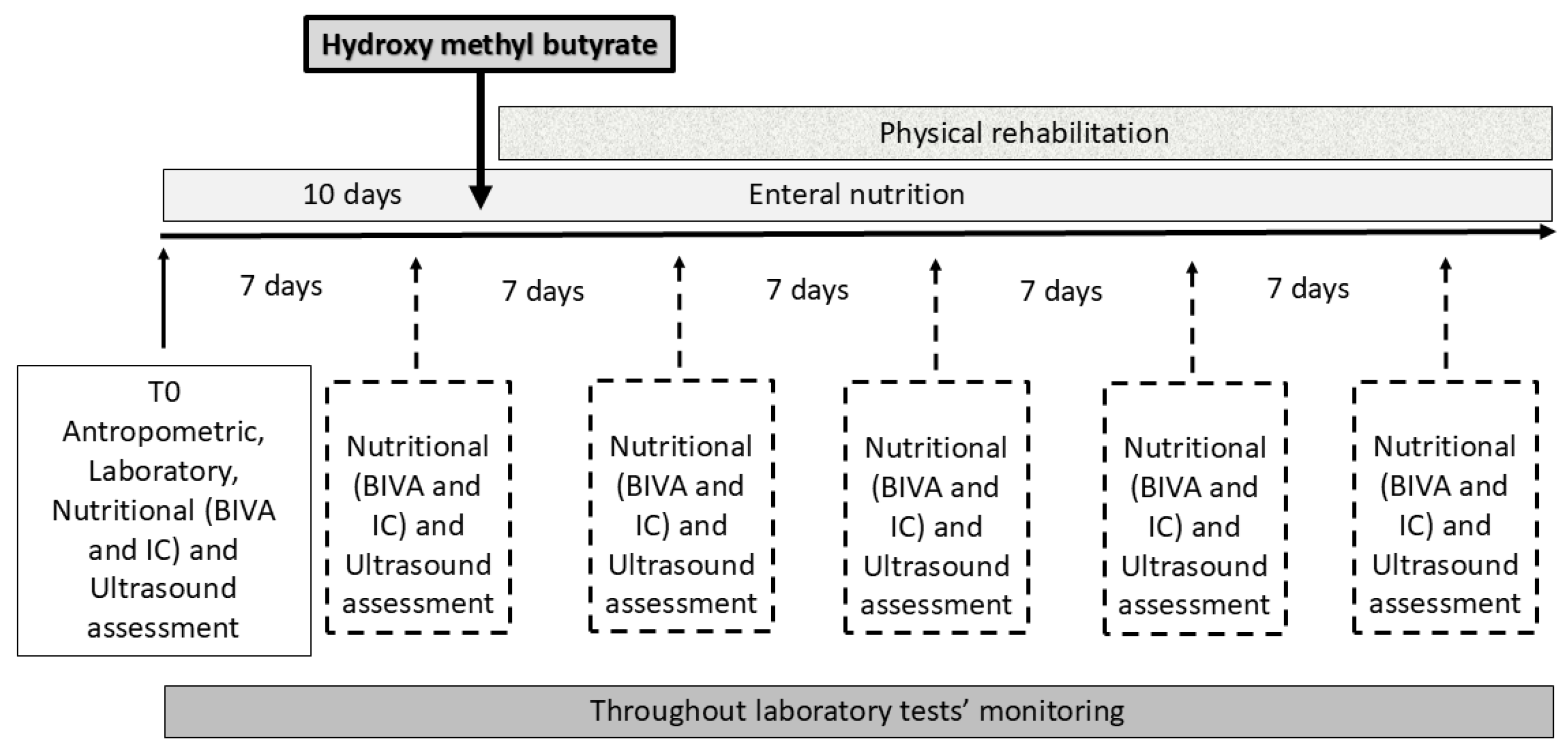 Nutrients 17 00497 g001