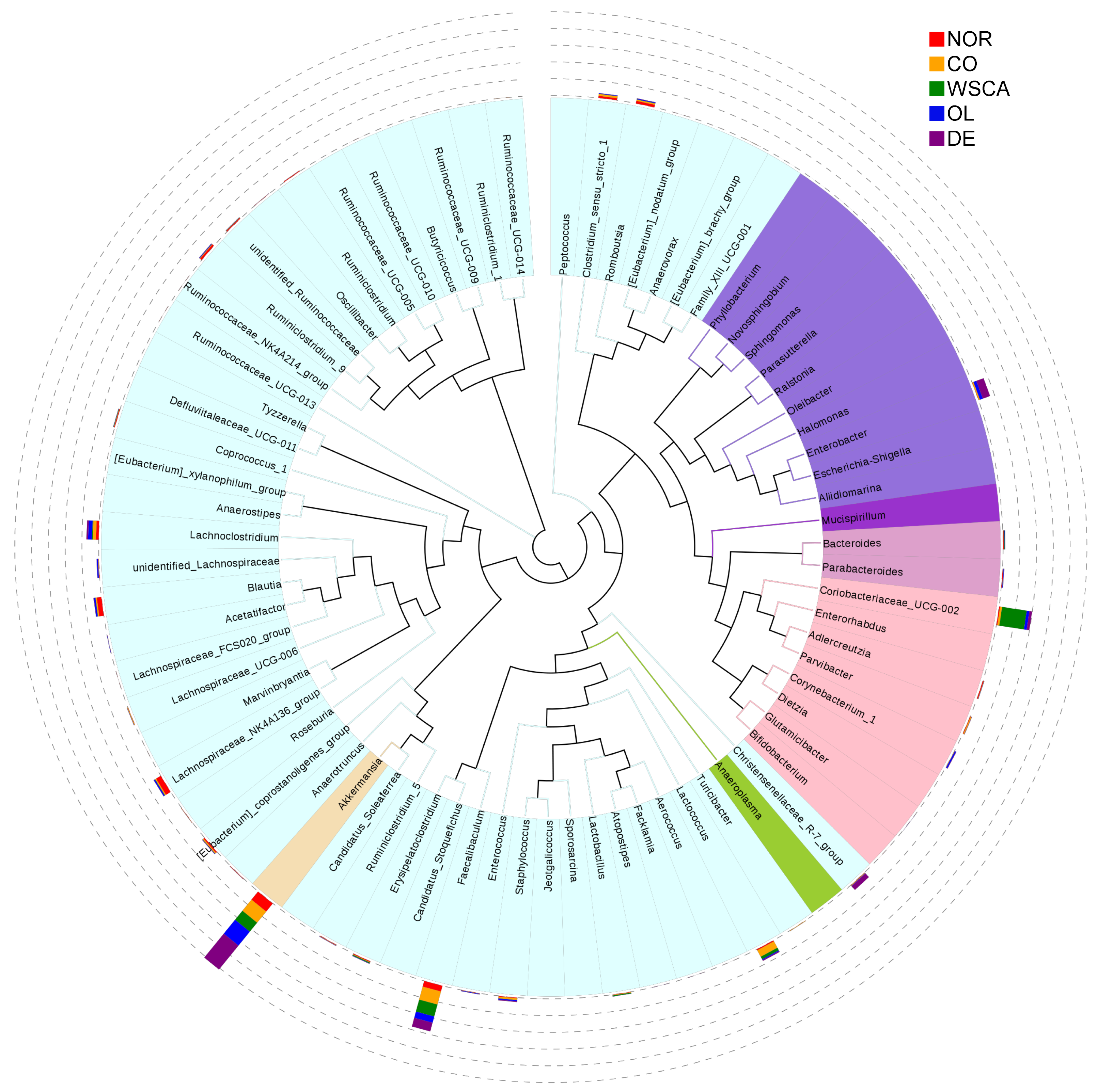 Nutrients 17 00500 g009