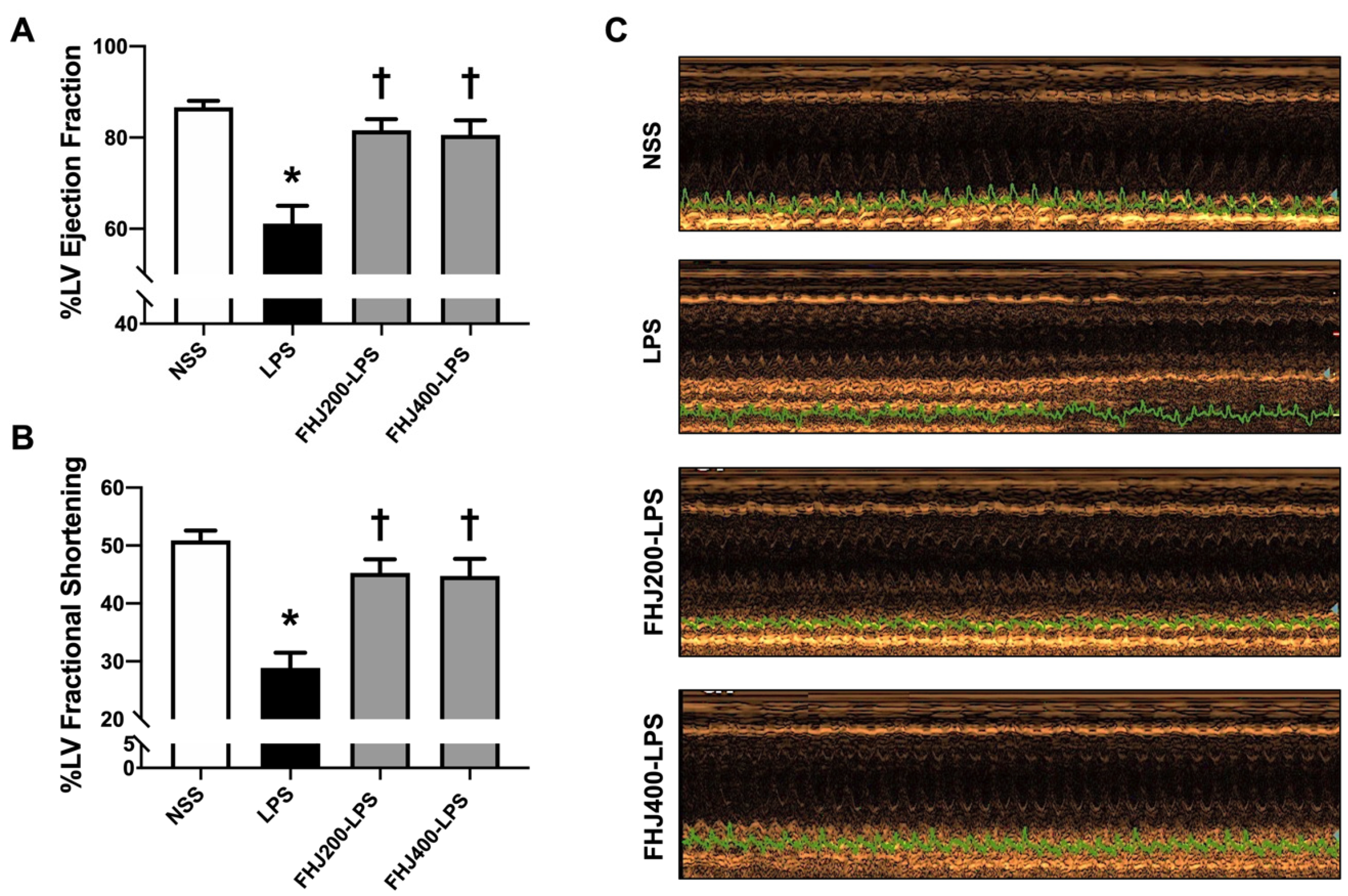 Nutrients 17 00501 g002 Nutrients 17 00501 g002