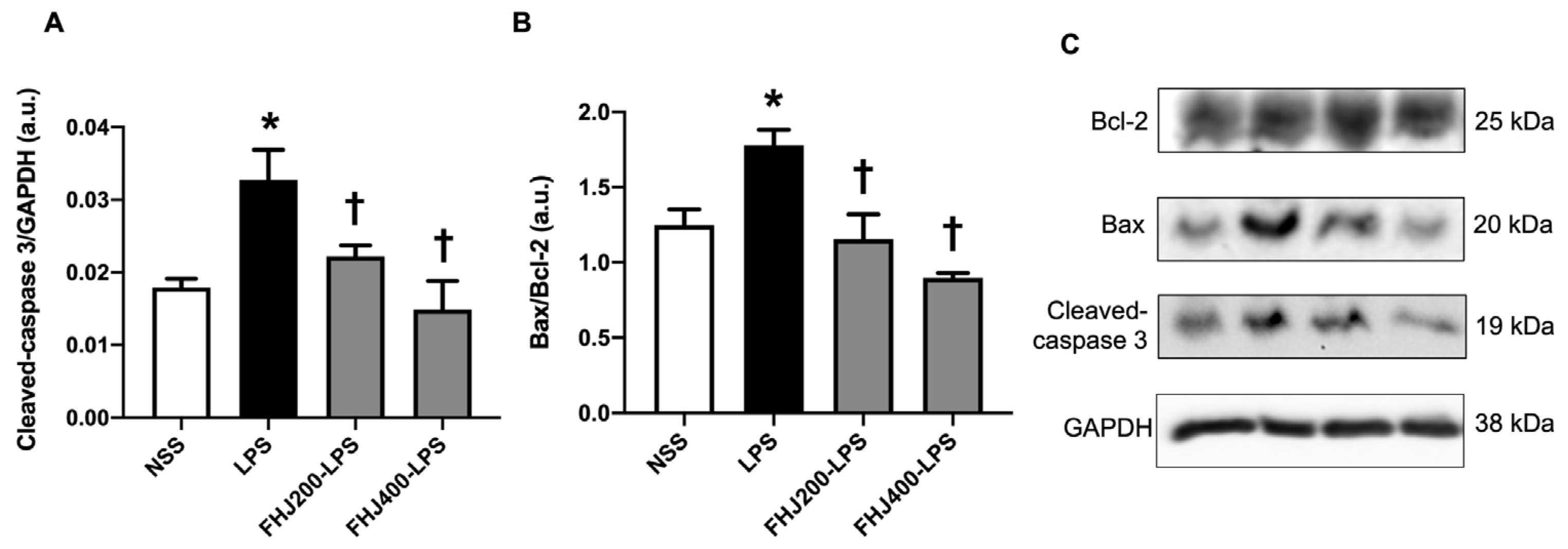 Nutrients 17 00501 g005 Nutrients 17 00501 g005