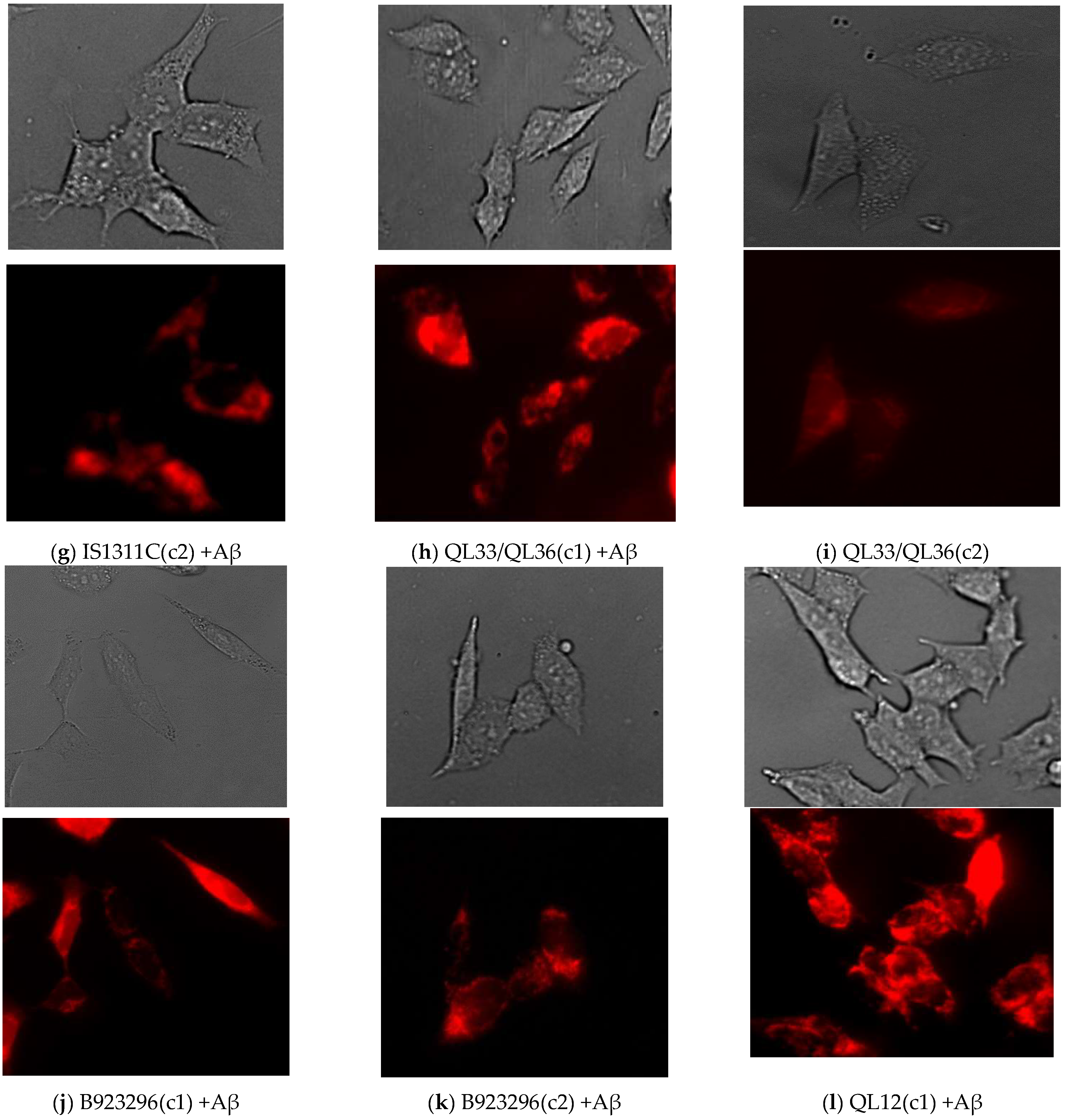 Nutrients 17 00516 g005b Nutrients 17 00516 g005b