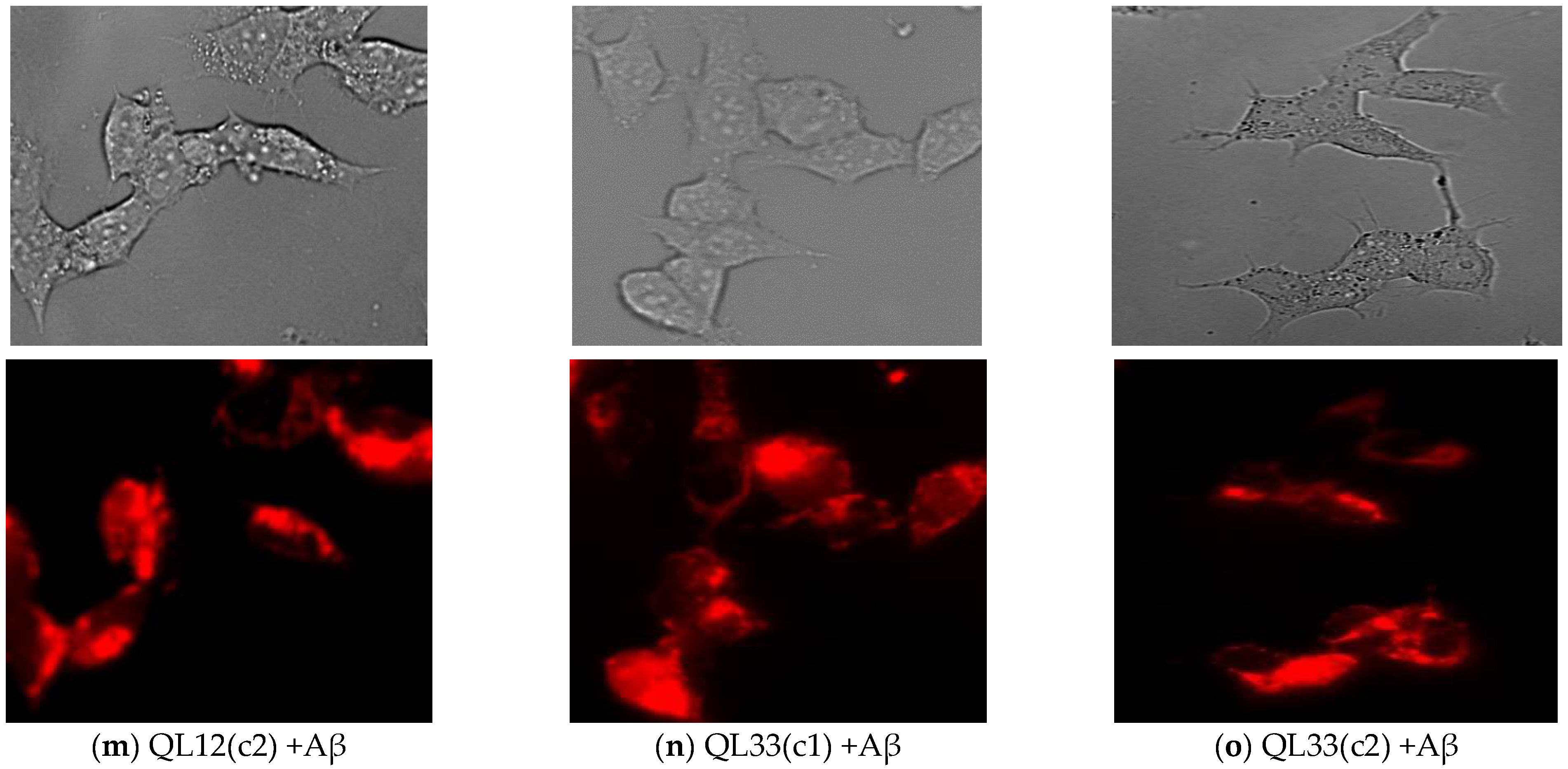 Nutrients 17 00516 g005c Nutrients 17 00516 g005c
