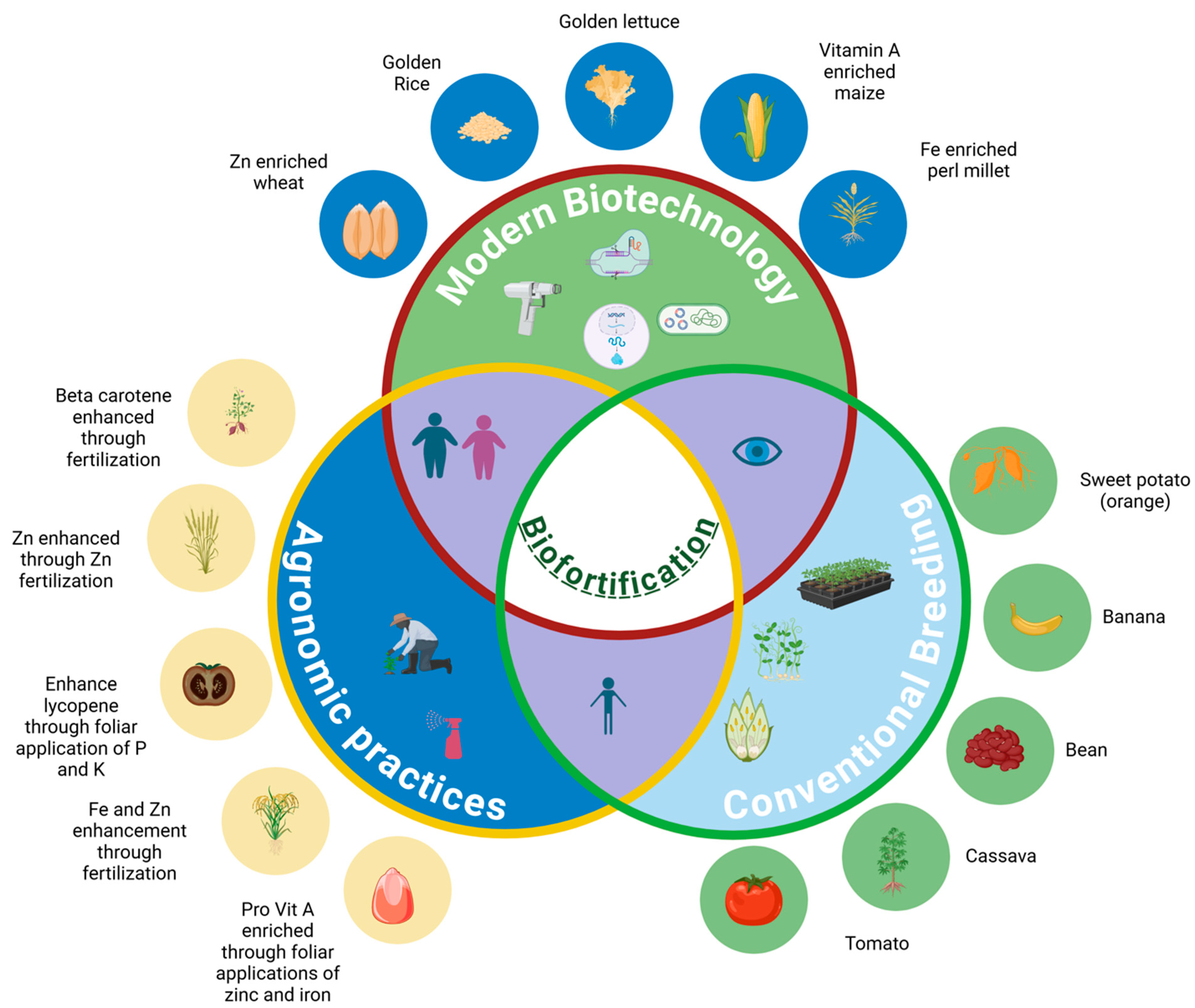 Nutrients 17 00518 g001 Nutrients 17 00518 g001