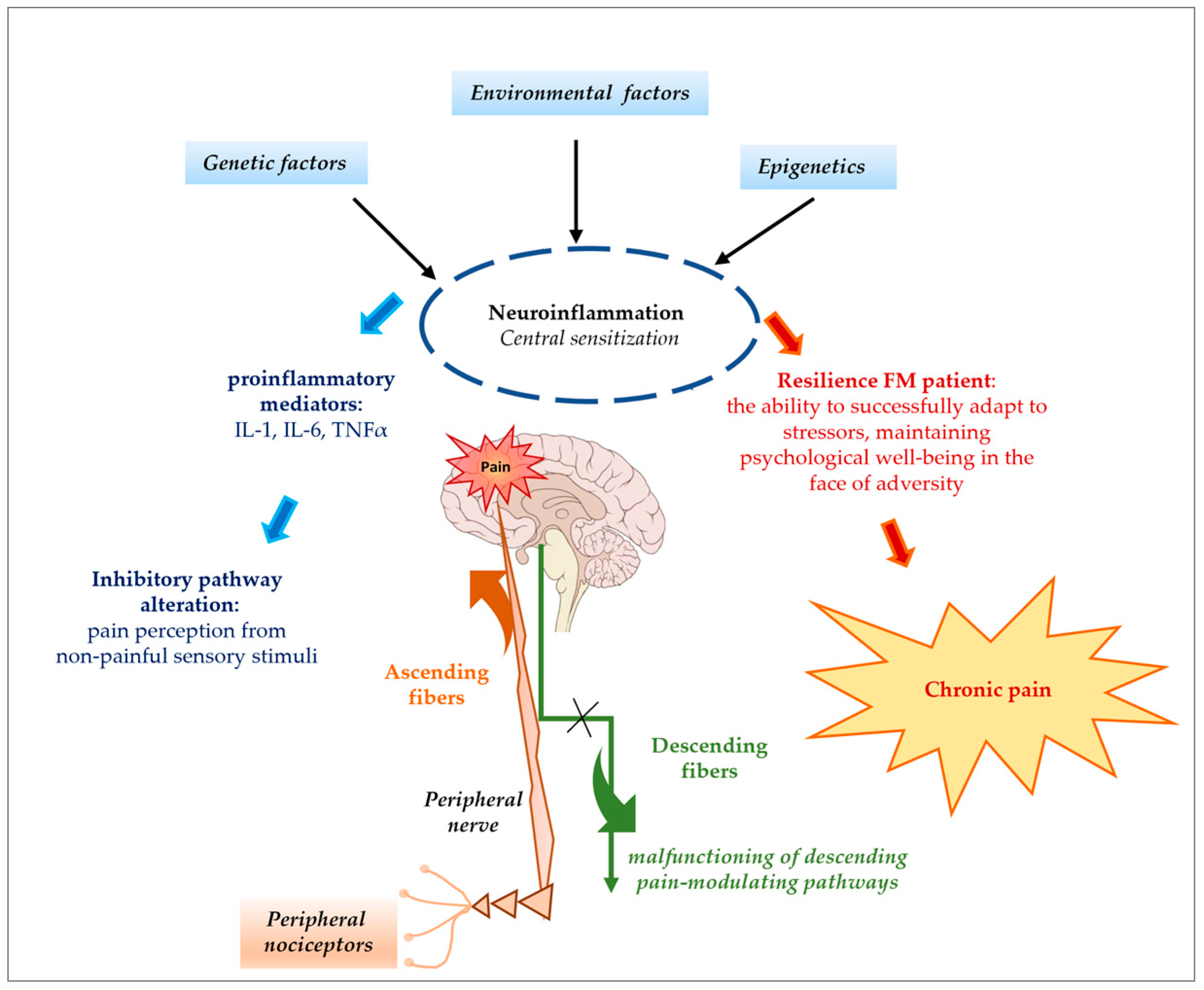 Nutrients 17 00530 g002