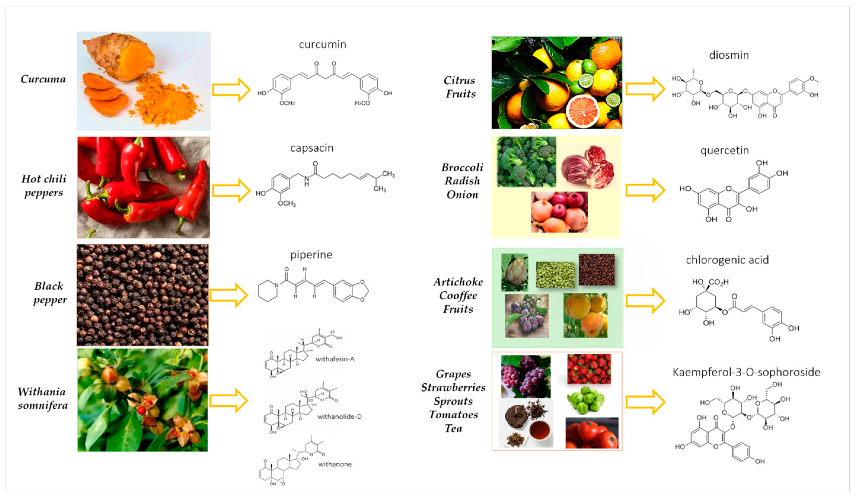 Nutrients 17 00530 g004