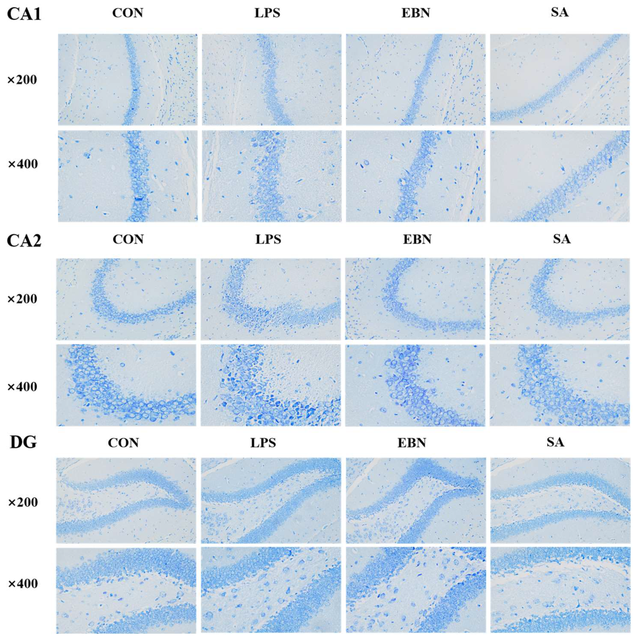Nutrients 17 00531 g006