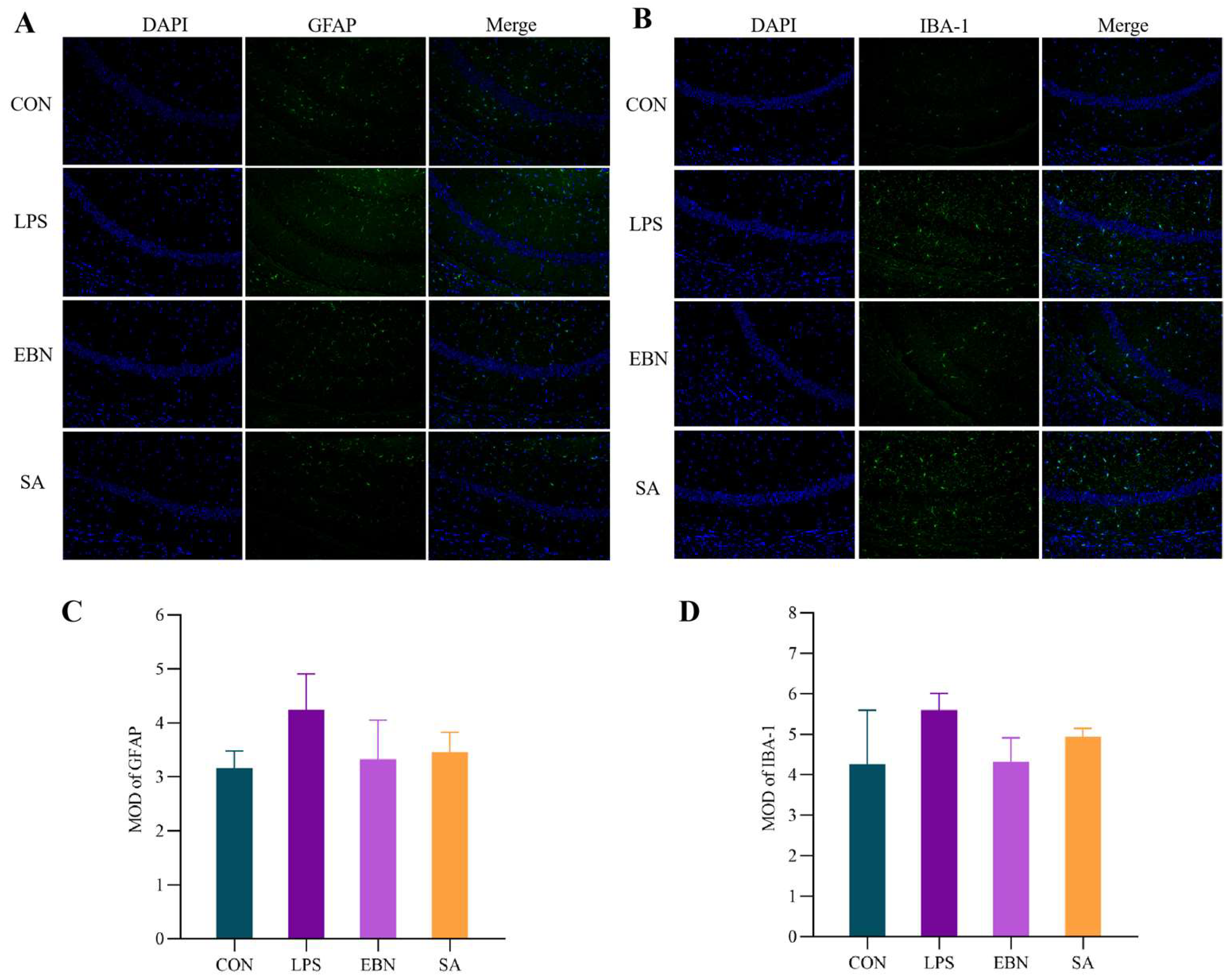 Nutrients 17 00531 g007