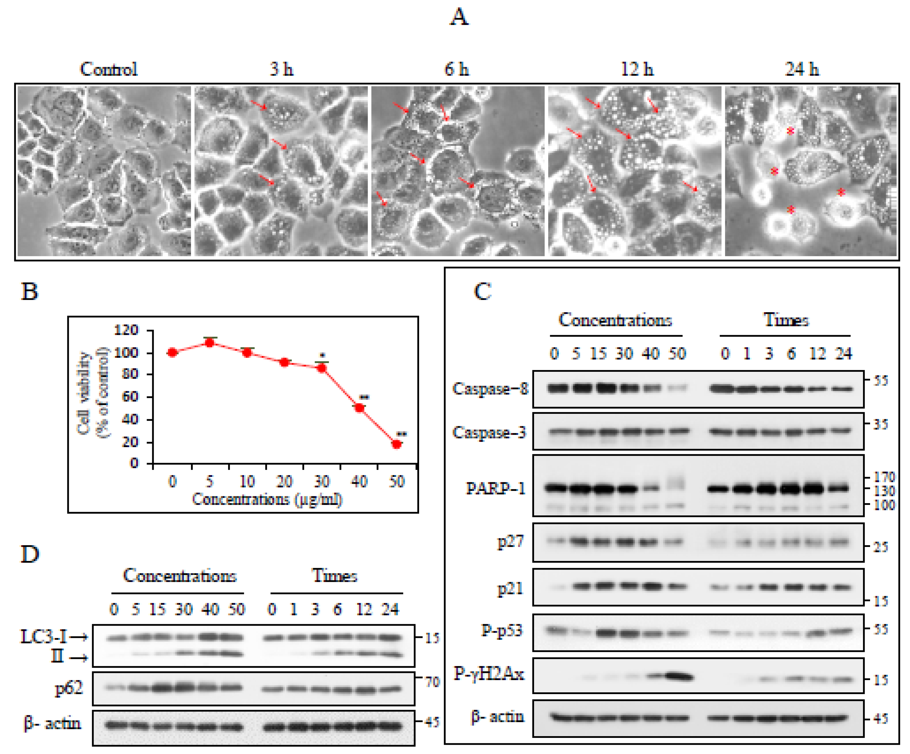 Nutrients 17 00539 g001