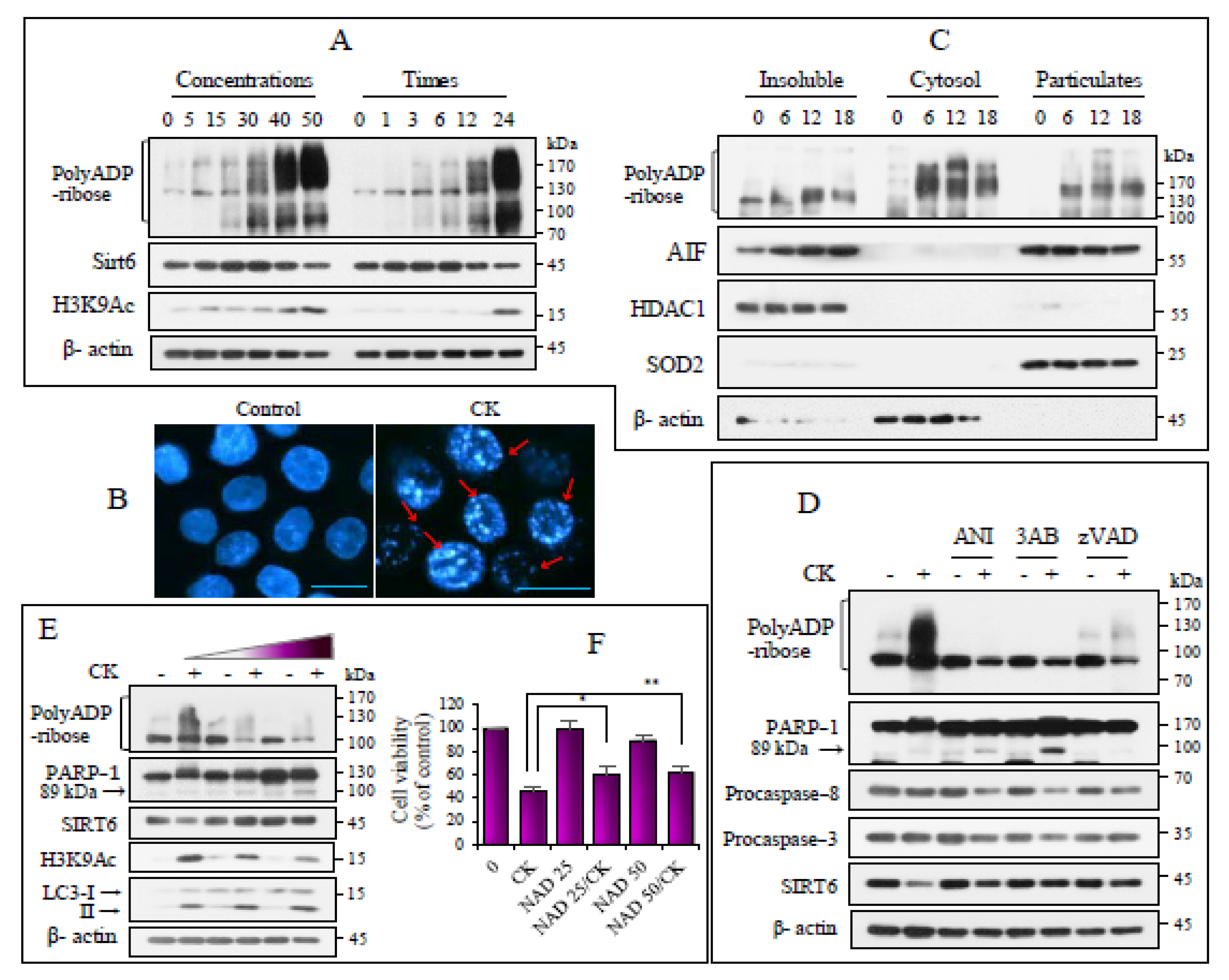 Nutrients 17 00539 g002