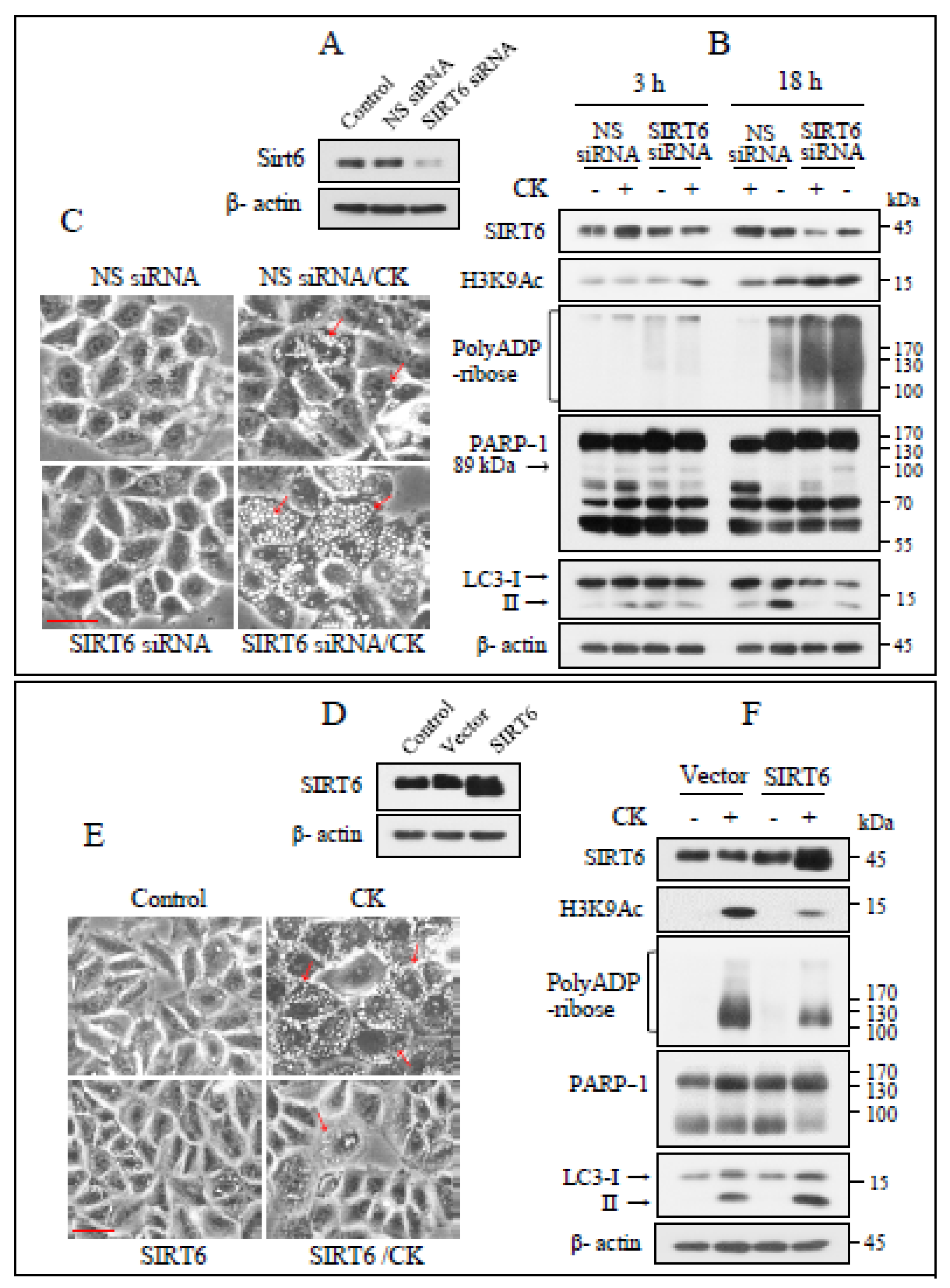 Nutrients 17 00539 g003