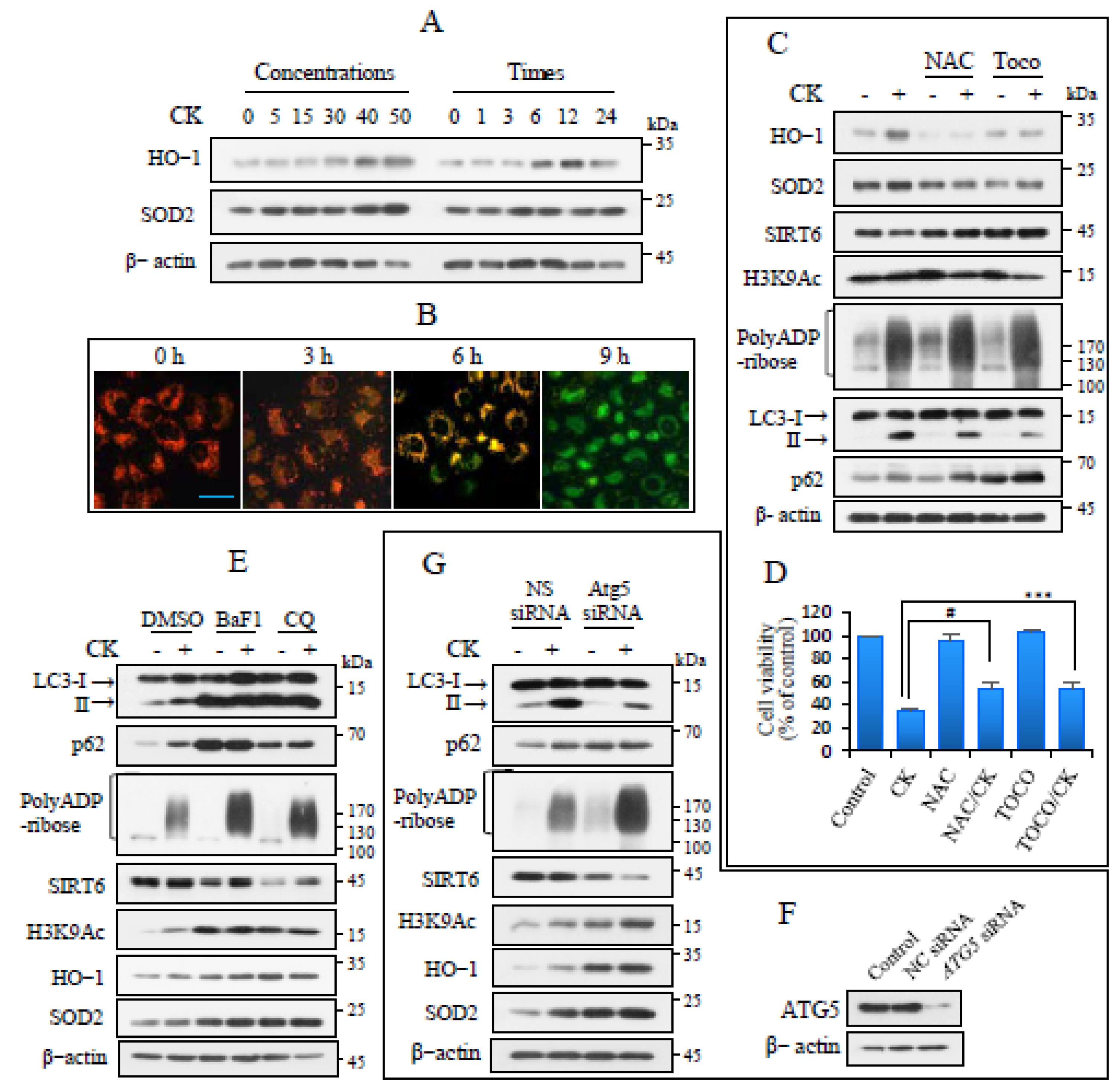 Nutrients 17 00539 g004
