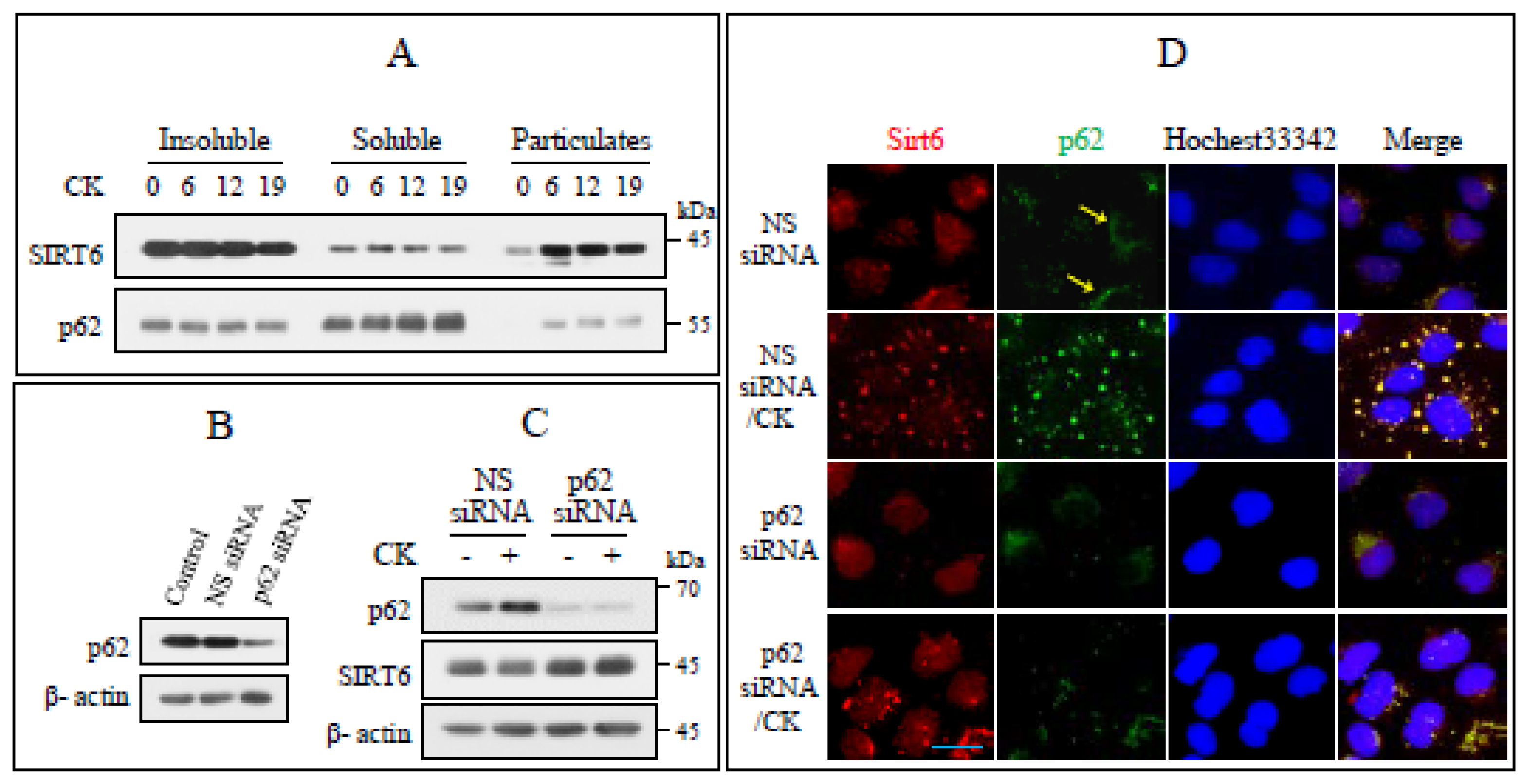 Nutrients 17 00539 g005