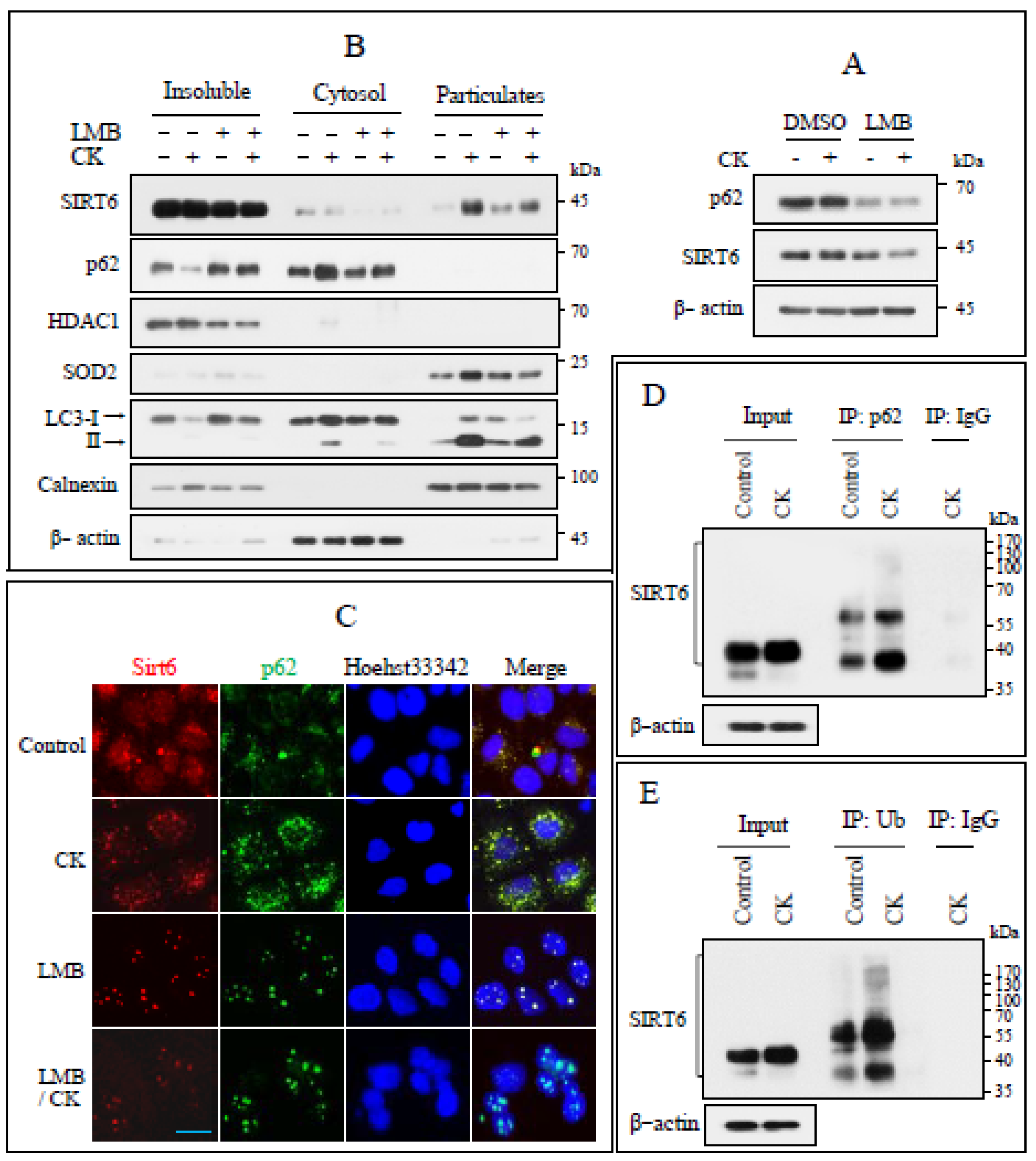 Nutrients 17 00539 g006