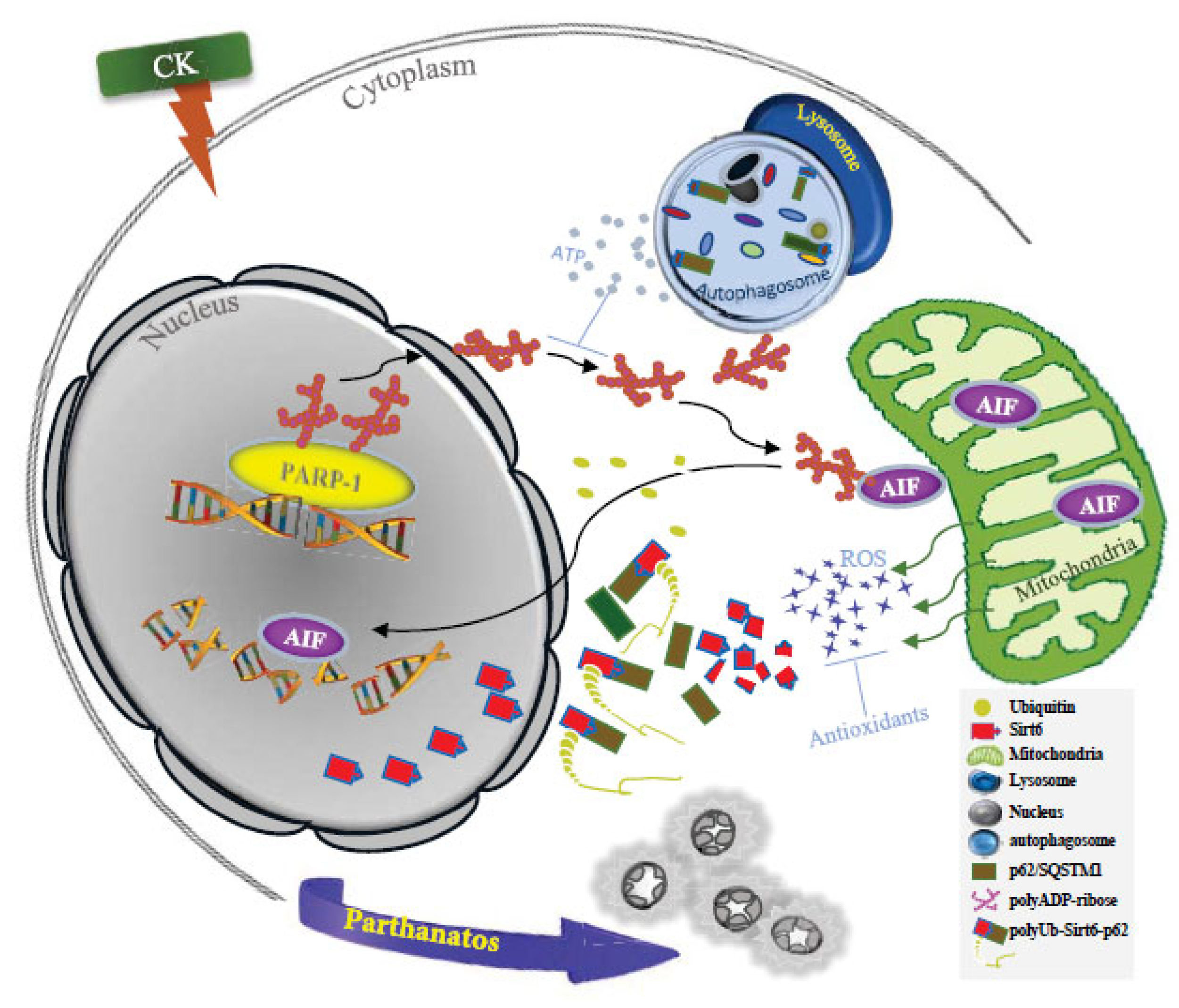 Nutrients 17 00539 g007