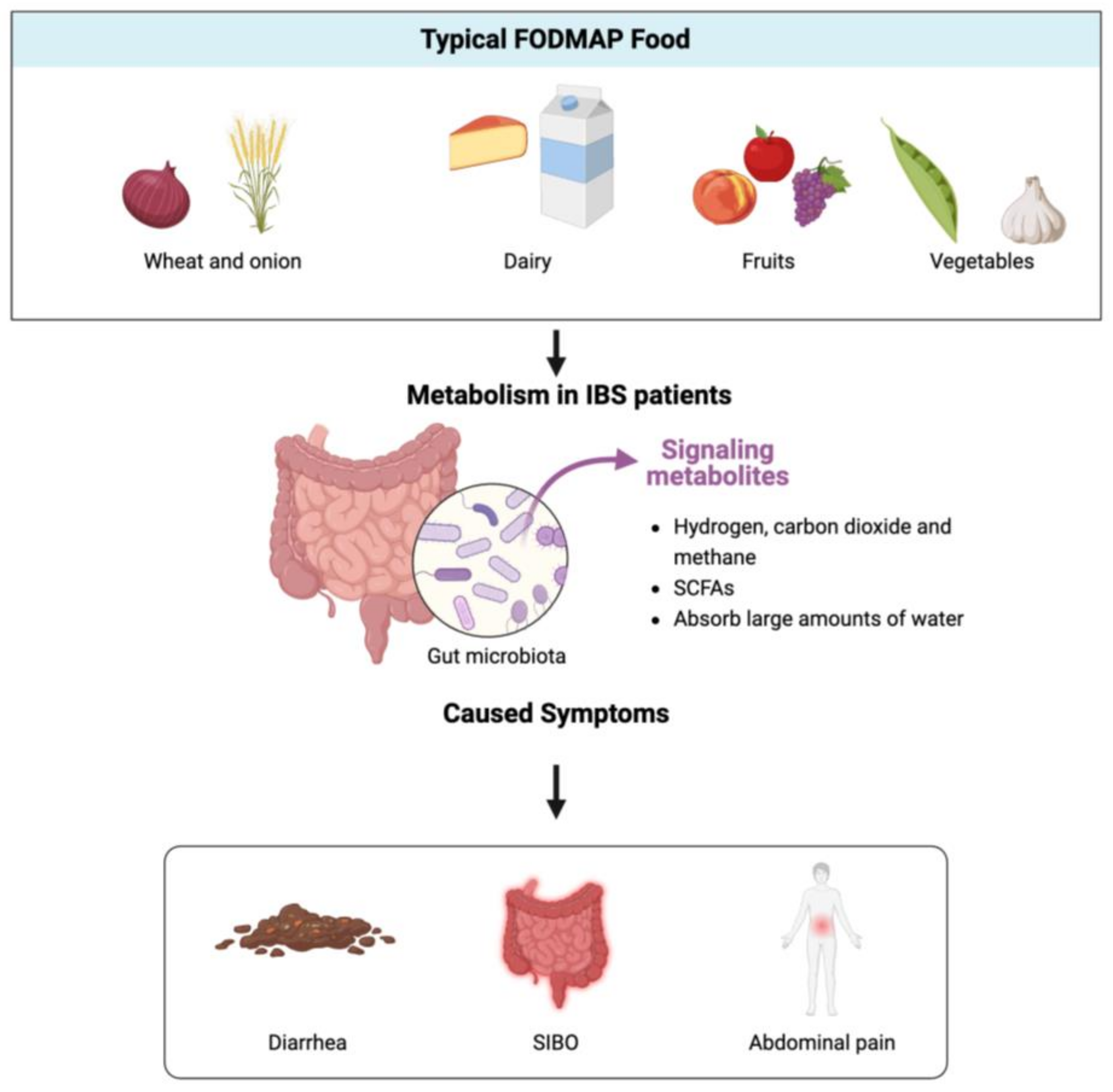 Nutrients 17 00544 g002