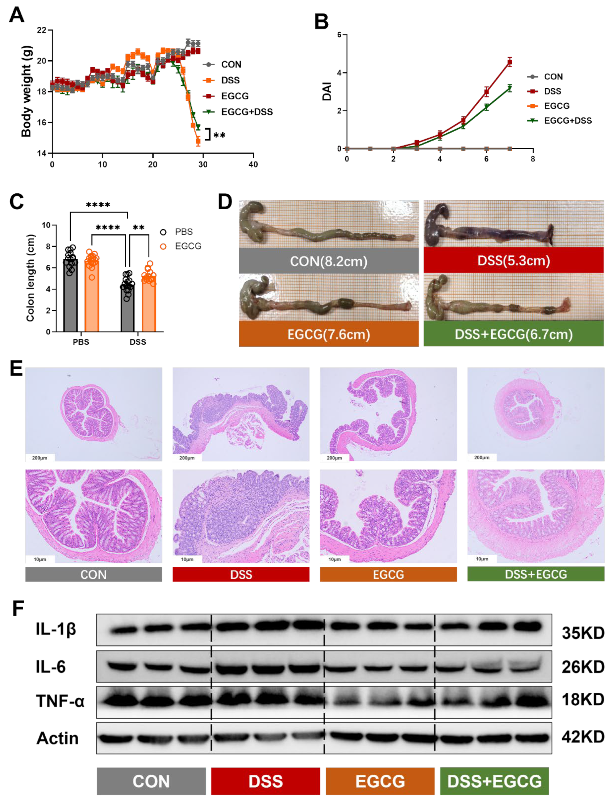 Nutrients 17 00547 g002