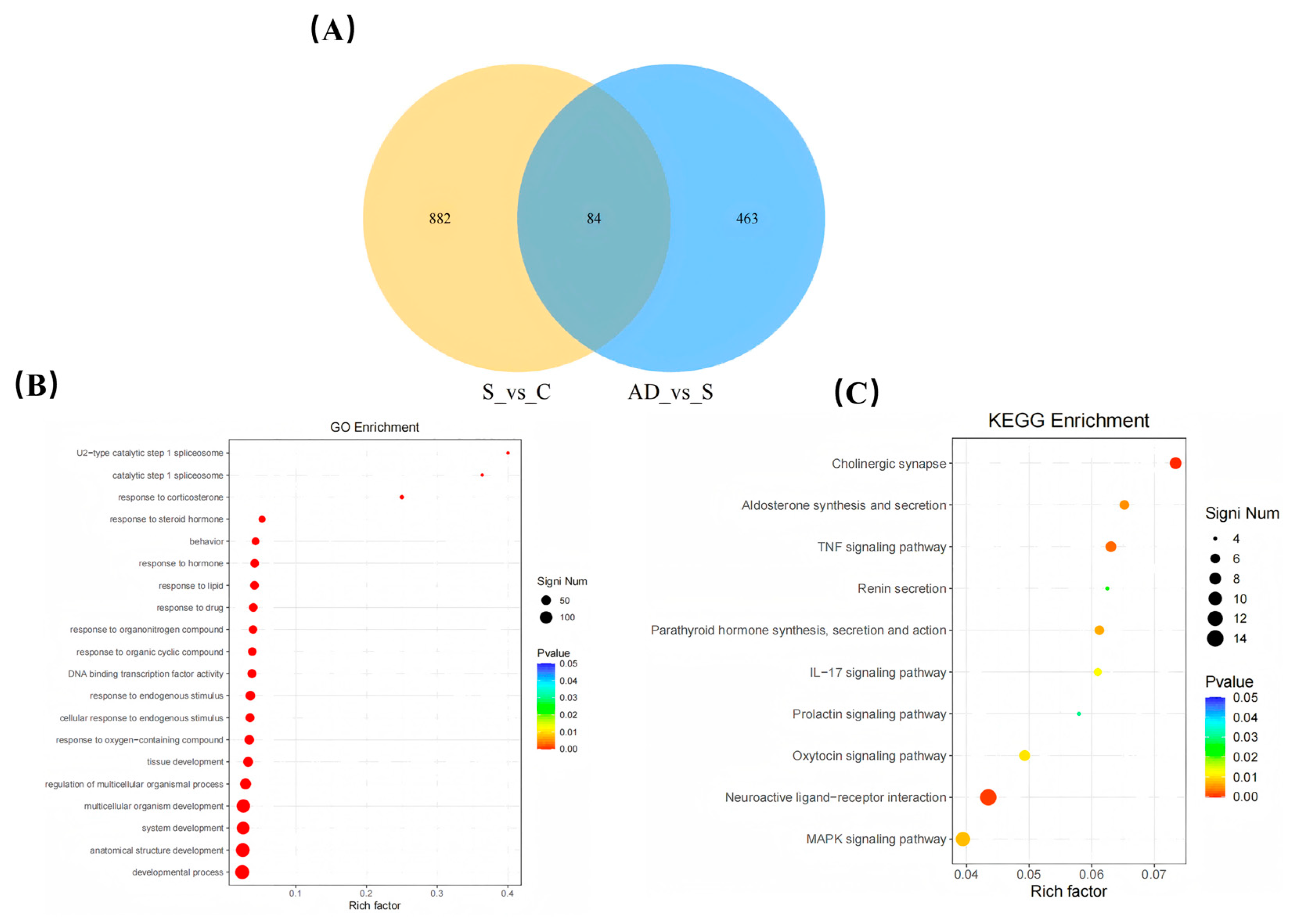 Nutrients 17 00553 g003