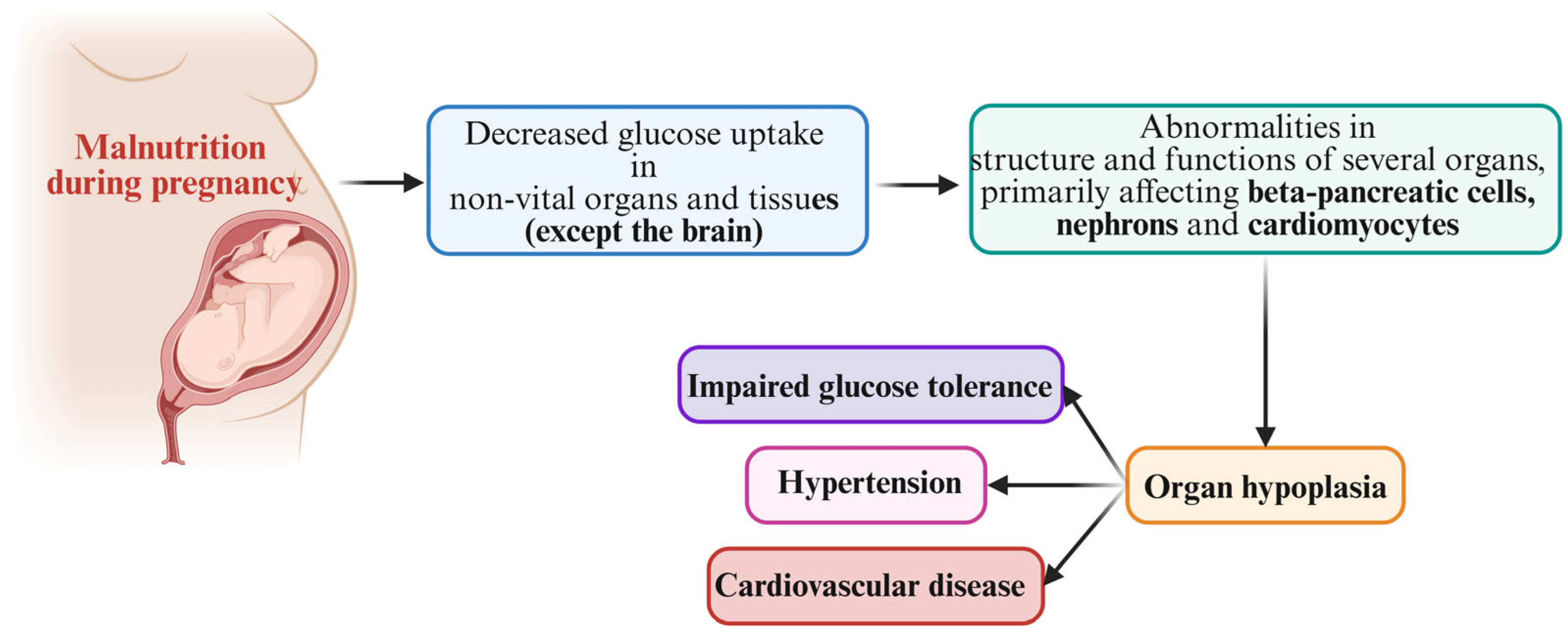 Nutrients 17 00555 g001