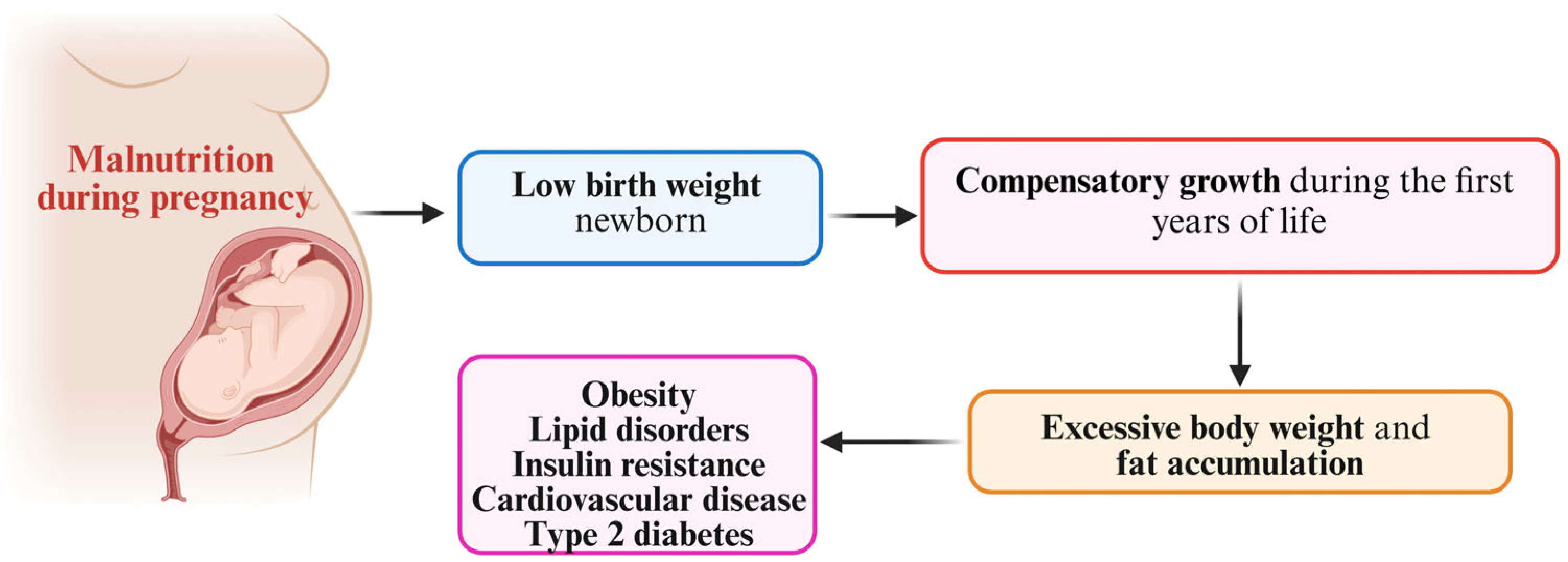 Nutrients 17 00555 g002