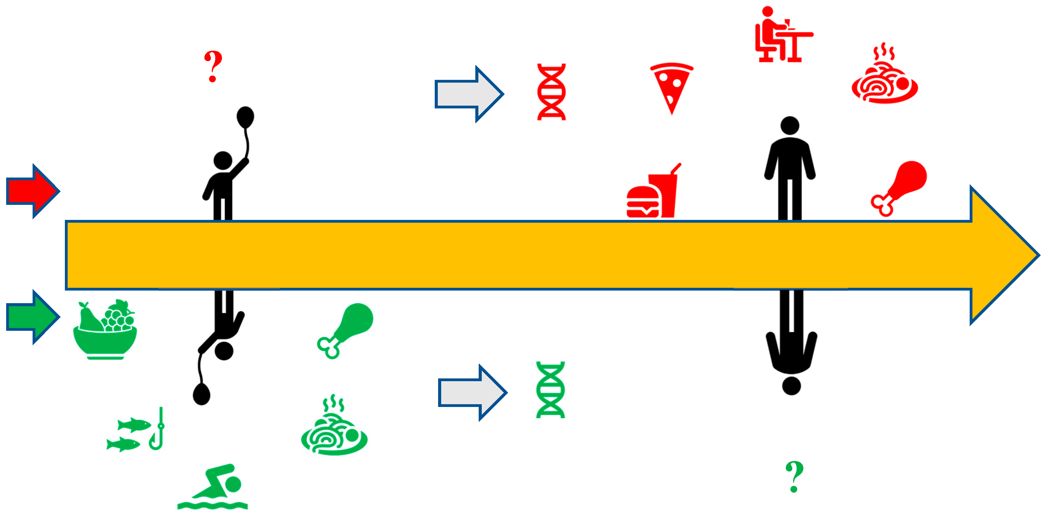 Nutrients 17 00559 g001