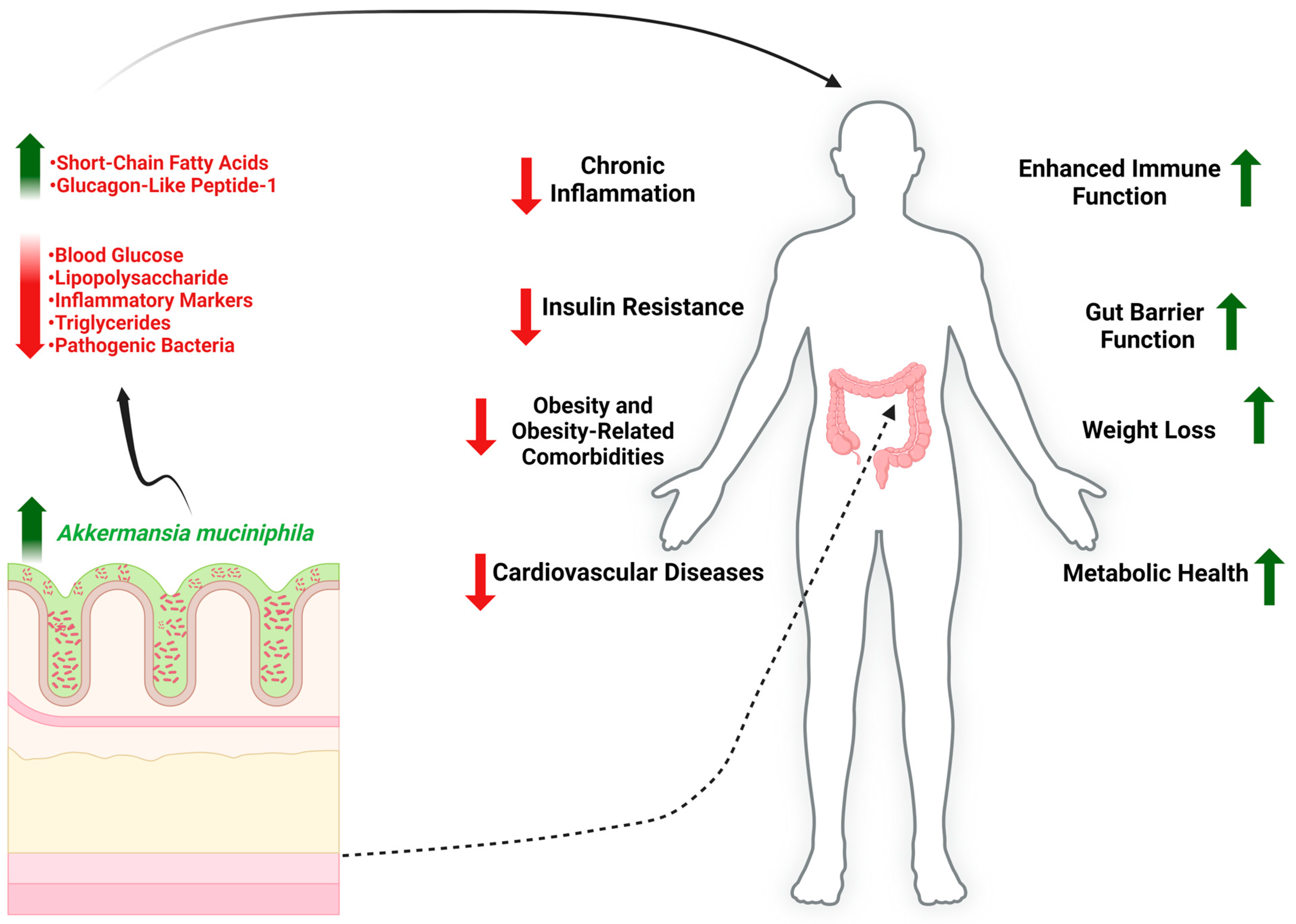 Nutrients 17 00562 g001