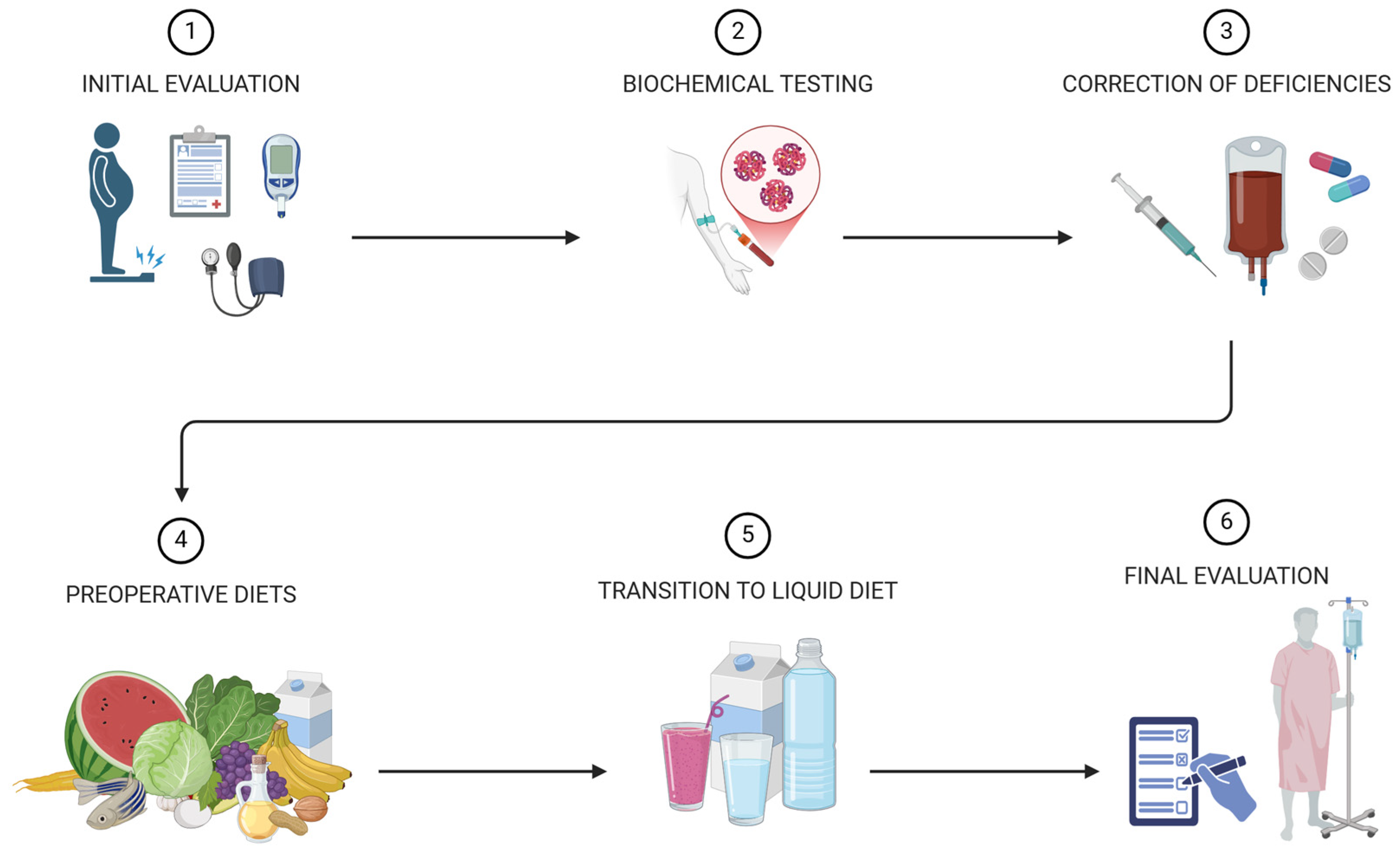 Nutrients 17 00566 g002 Nutrients 17 00566 g002