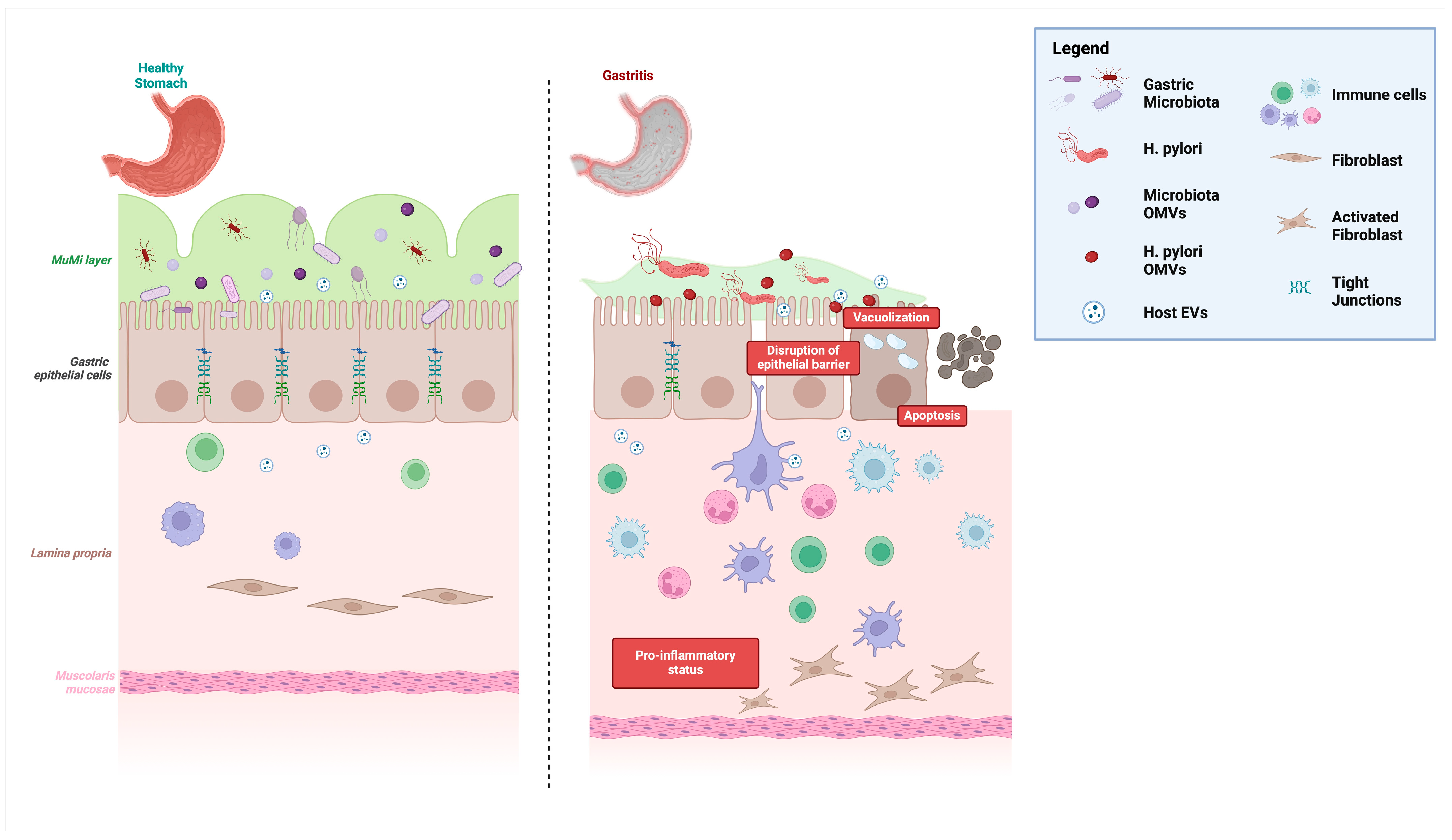 Nutrients 17 00569 g001
