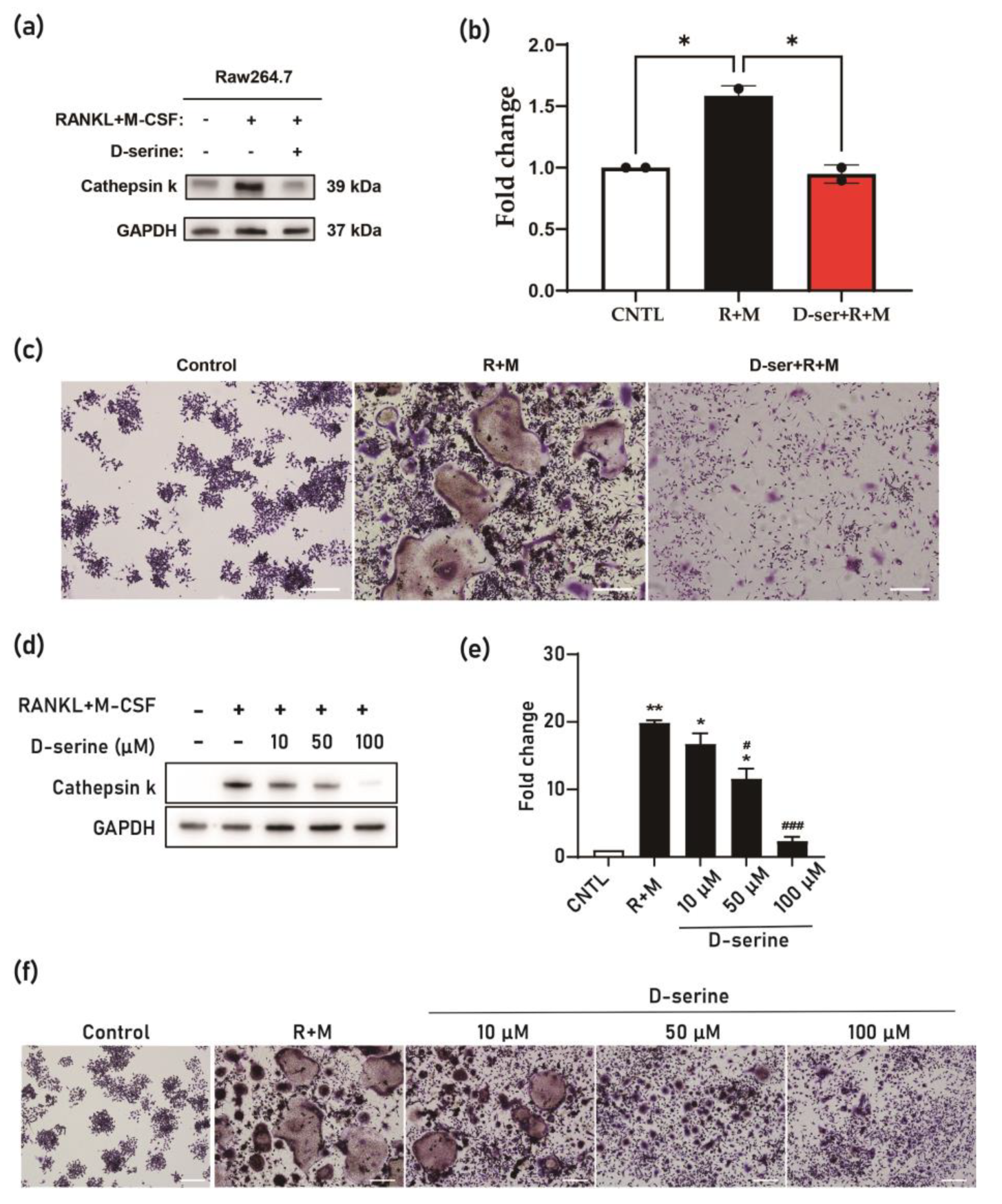 Nutrients 17 00574 g002