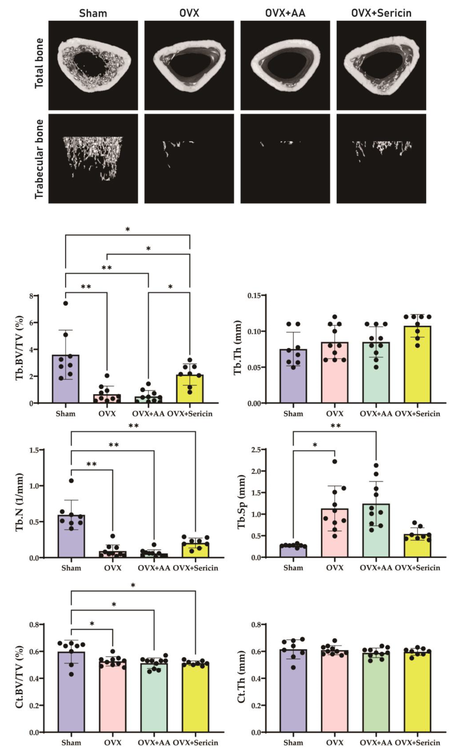 Nutrients 17 00574 g005