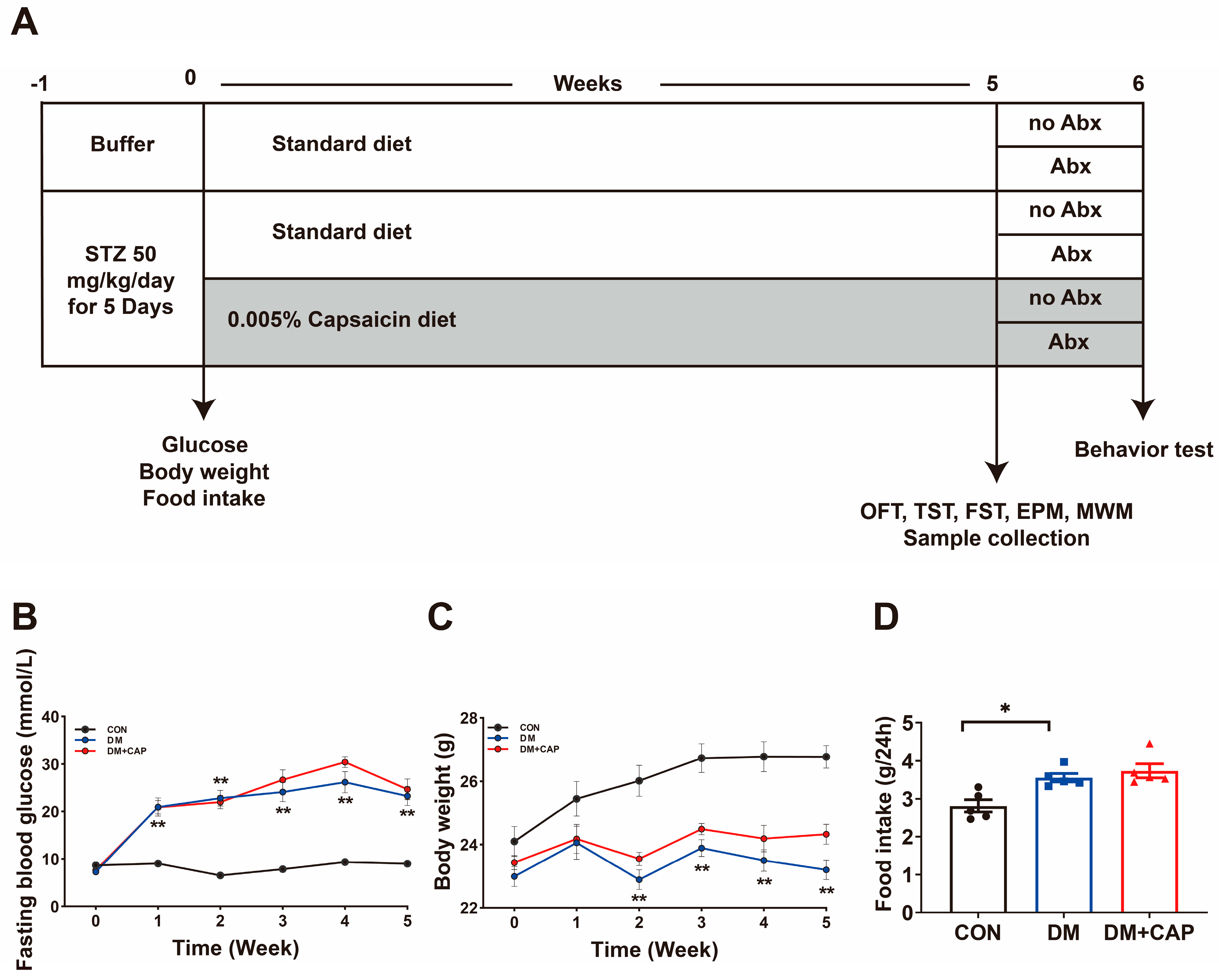 Nutrients 17 00593 g001