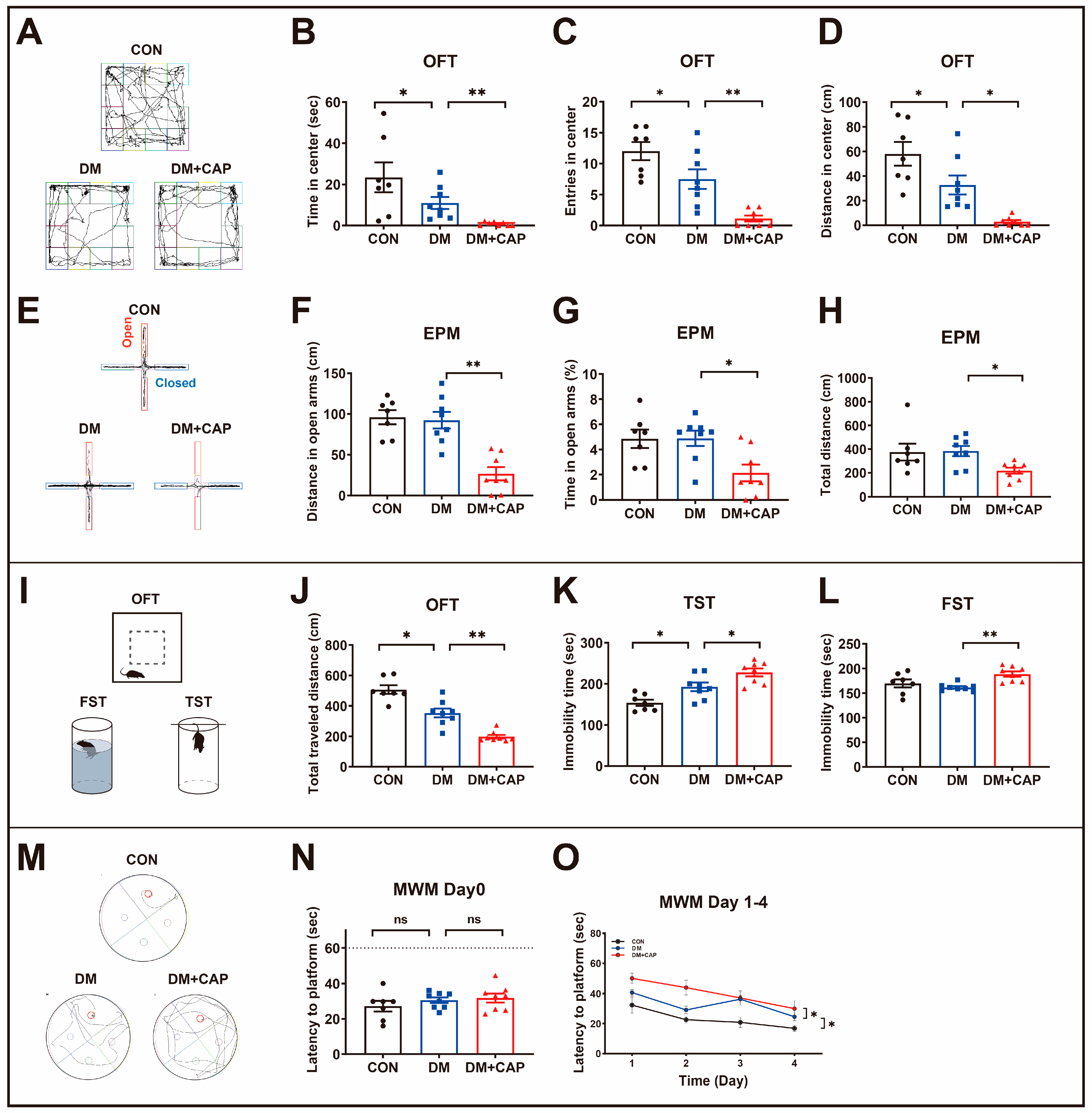 Nutrients 17 00593 g002