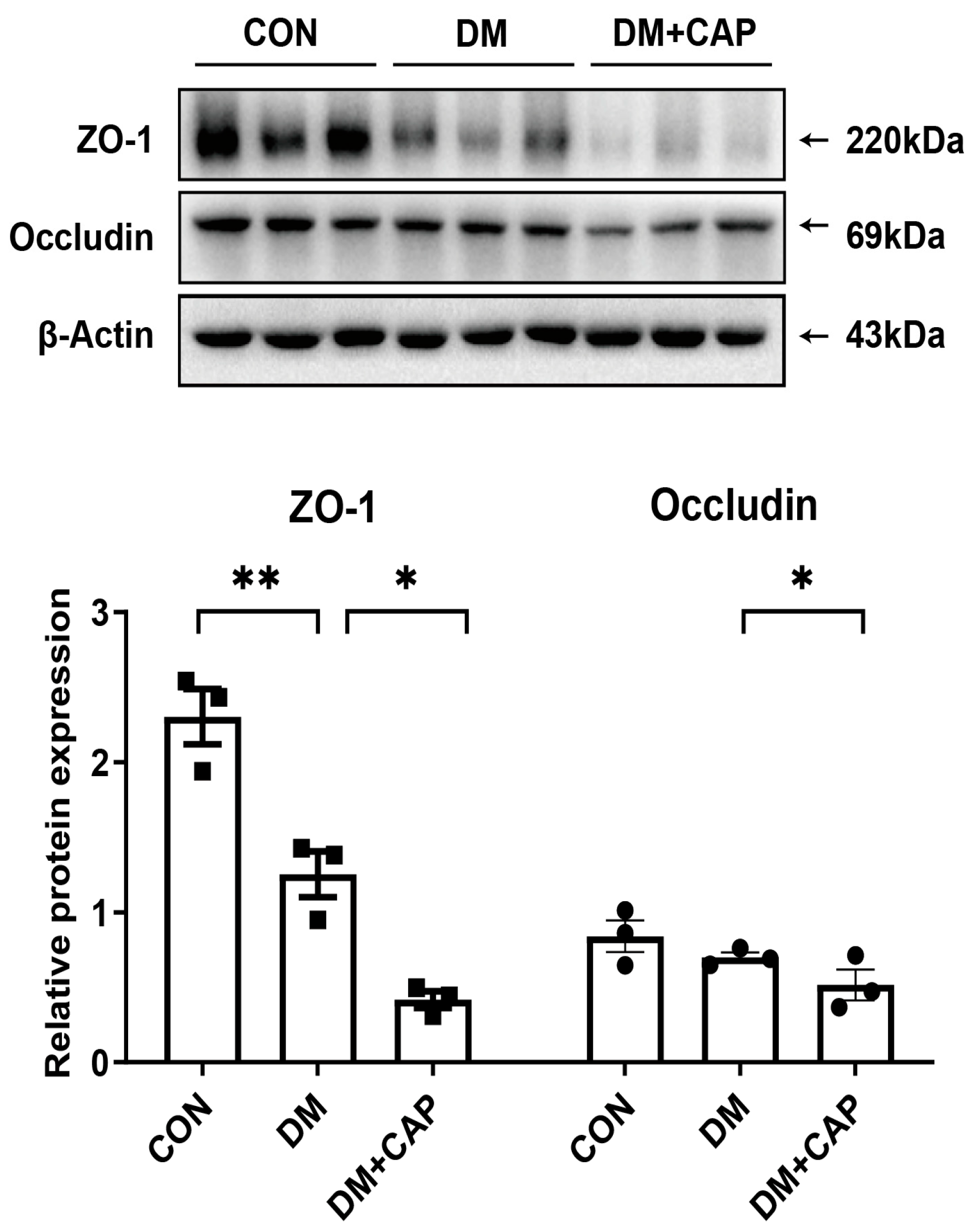 Nutrients 17 00593 g007
