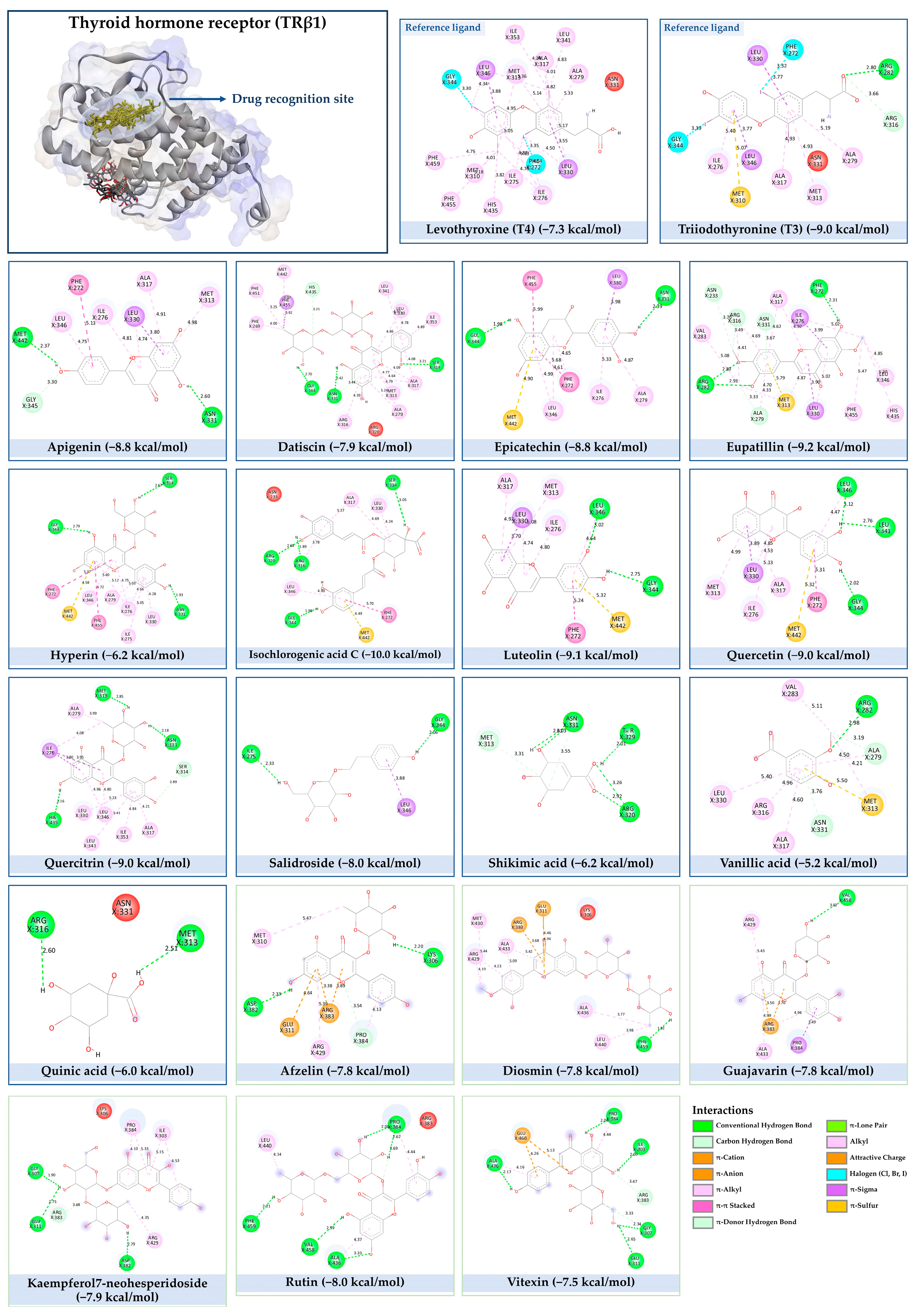 Nutrients 17 00594 g001