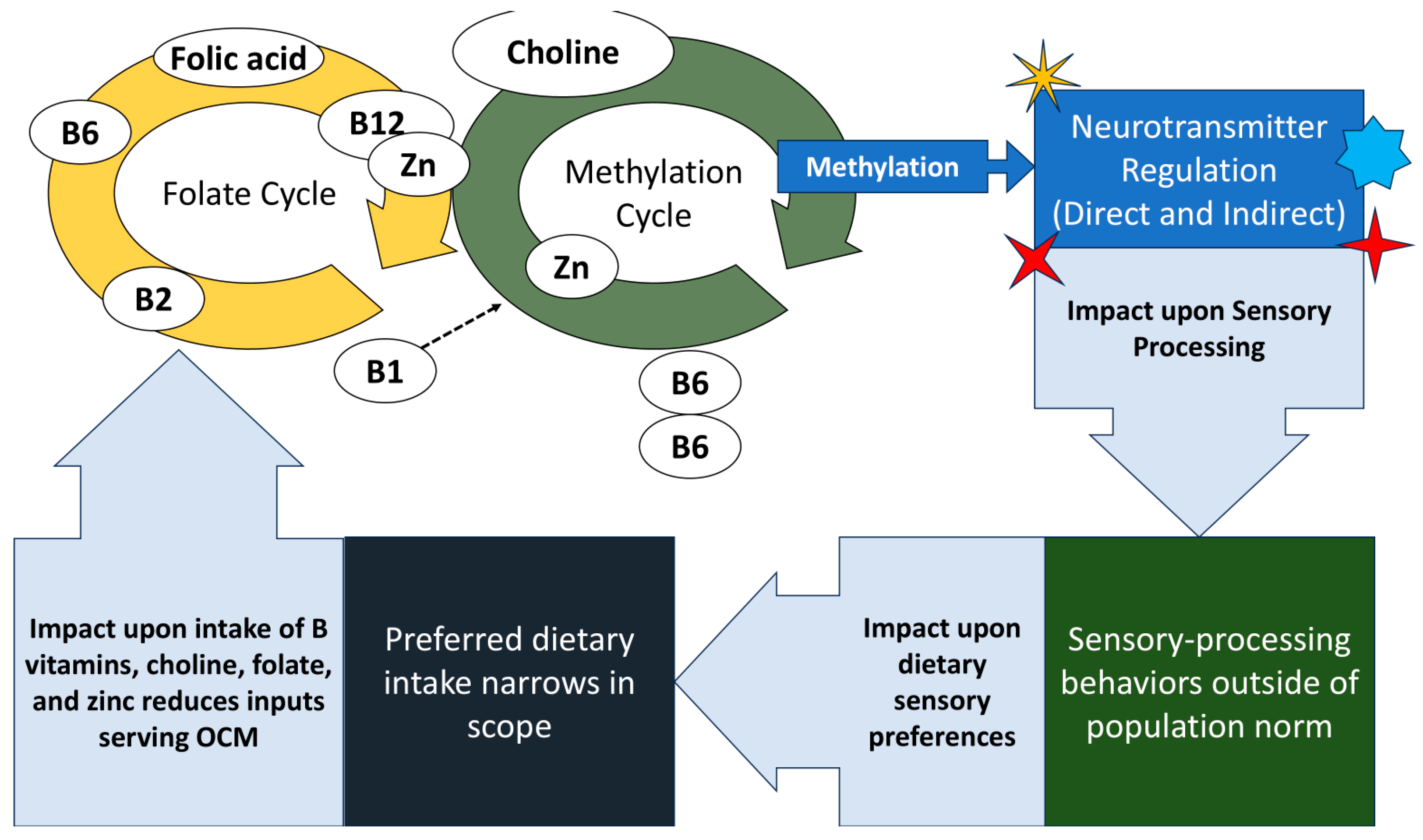 Nutrients 17 00604 g004 Nutrients 17 00604 g004