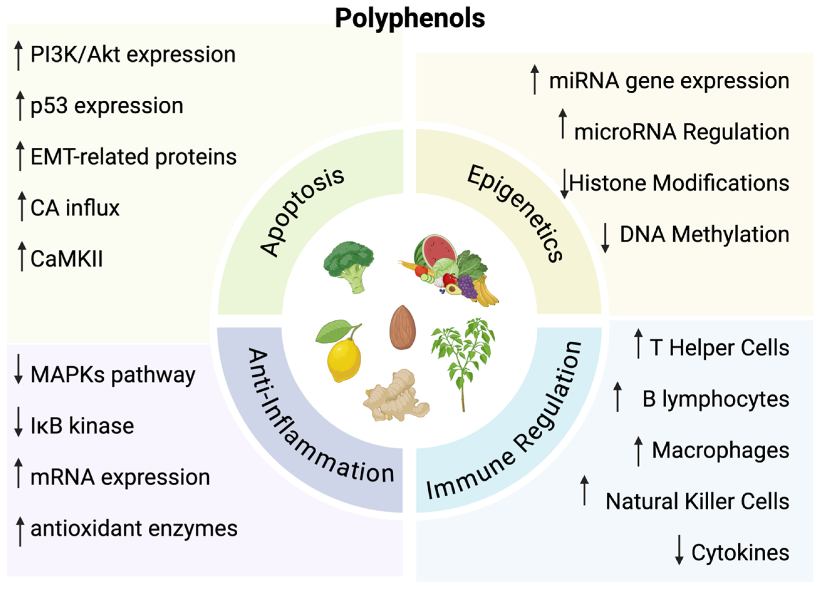 Nutrients 17 00616 g001