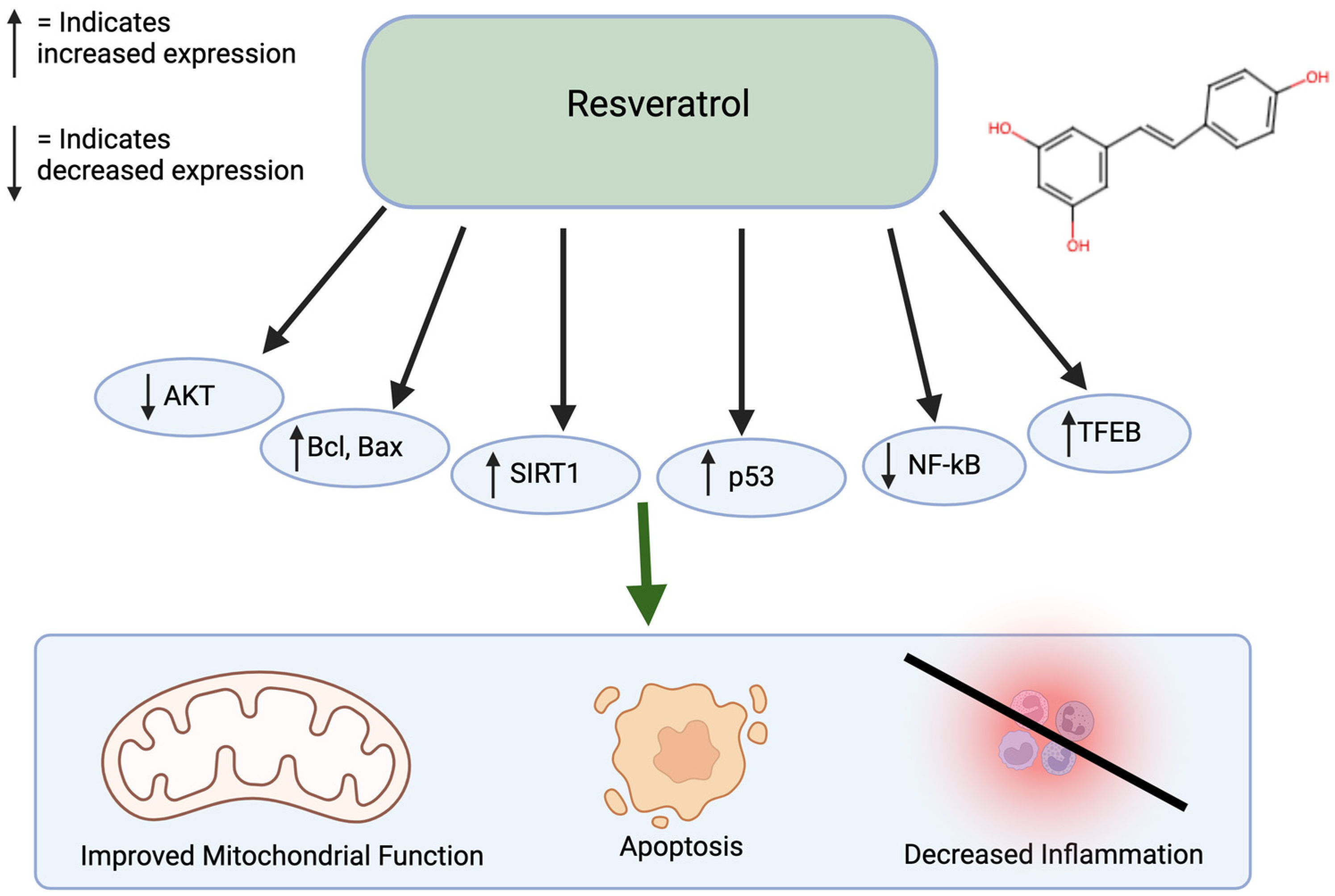 Nutrients 17 00616 g003