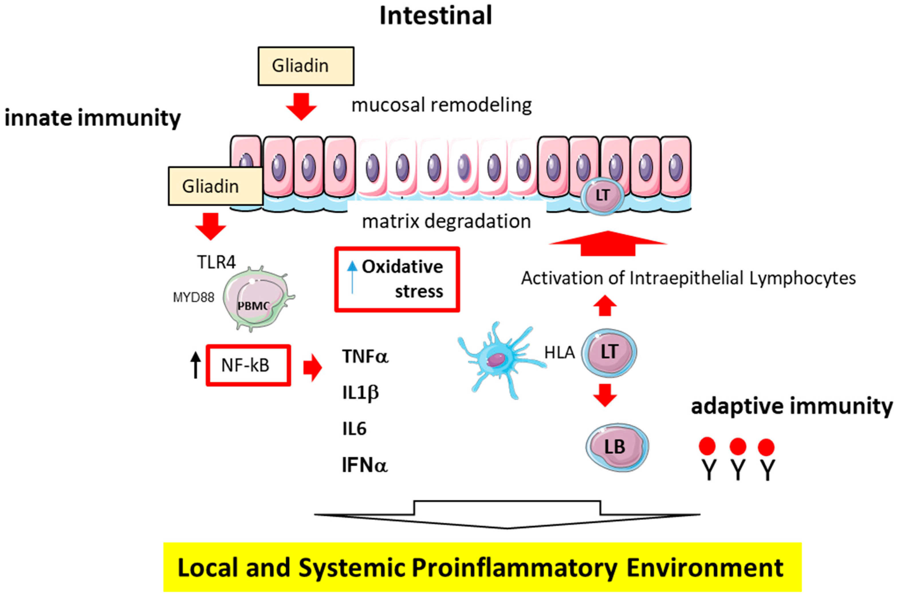 Nutrients 17 00621 g001