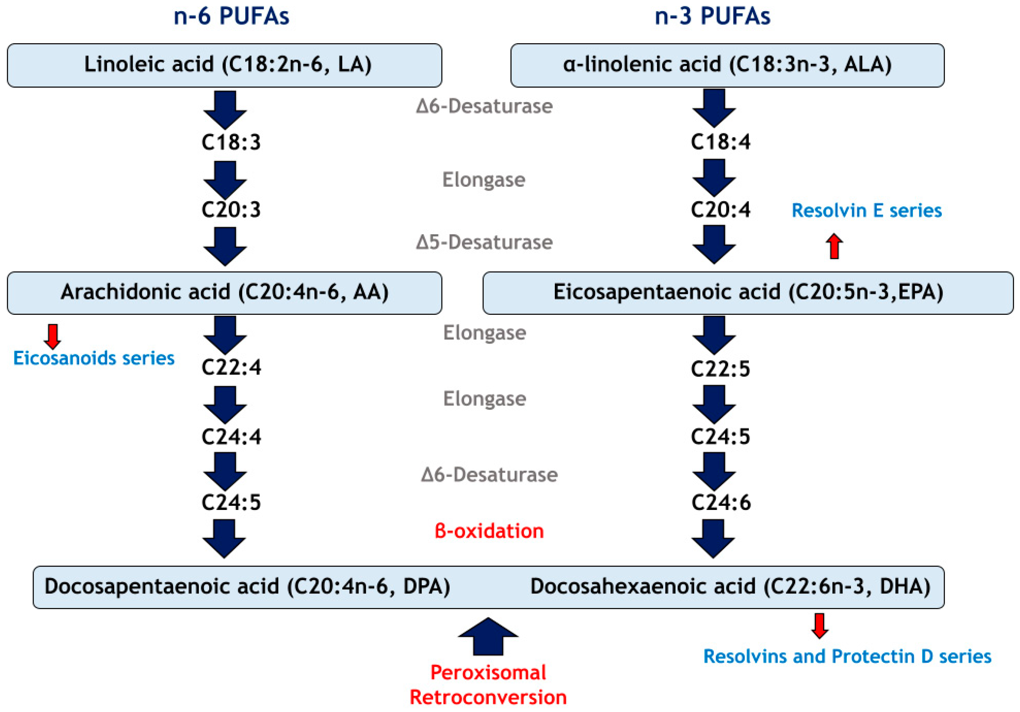 Nutrients 17 00621 g002