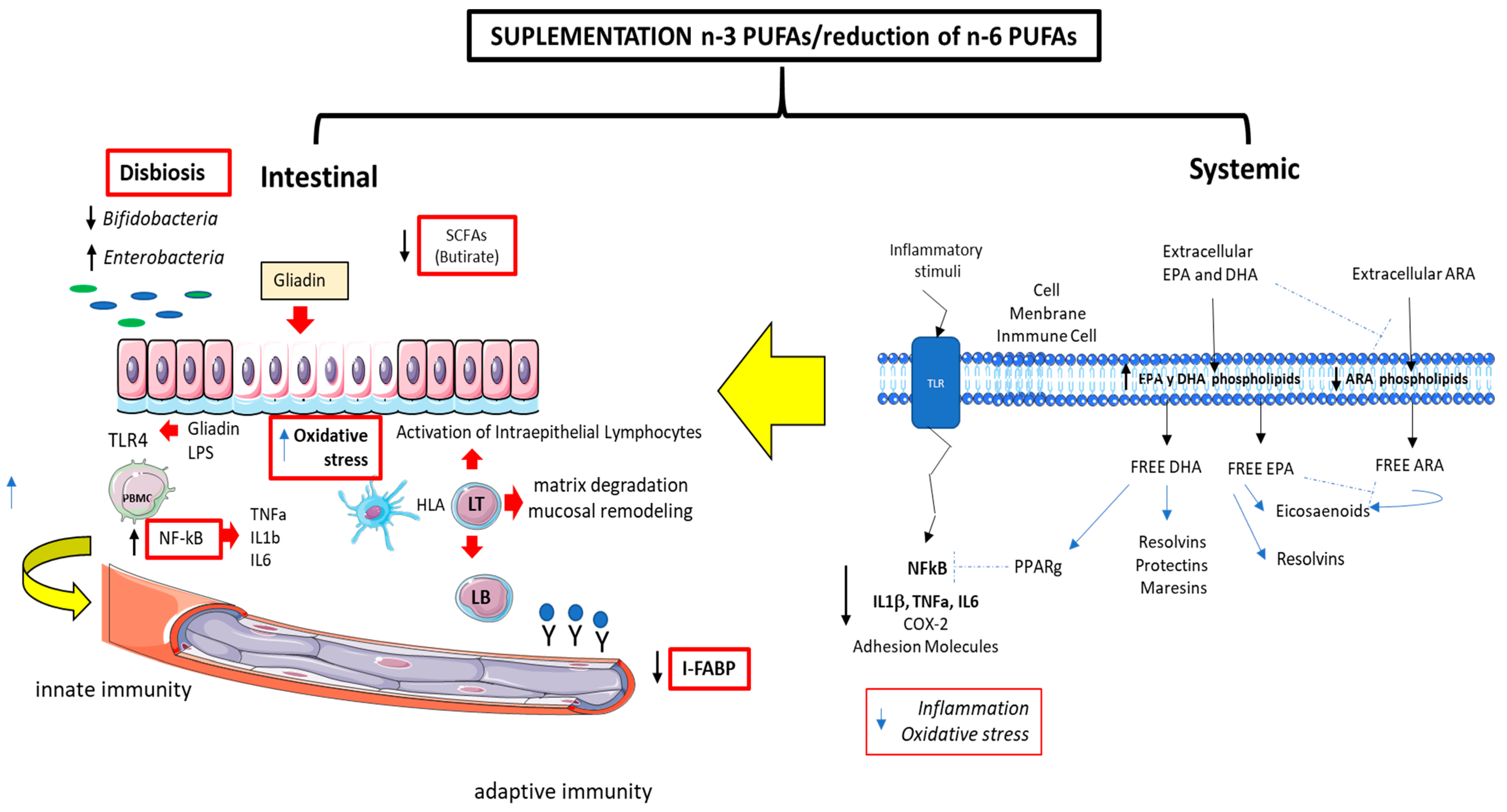 Nutrients 17 00621 g003
