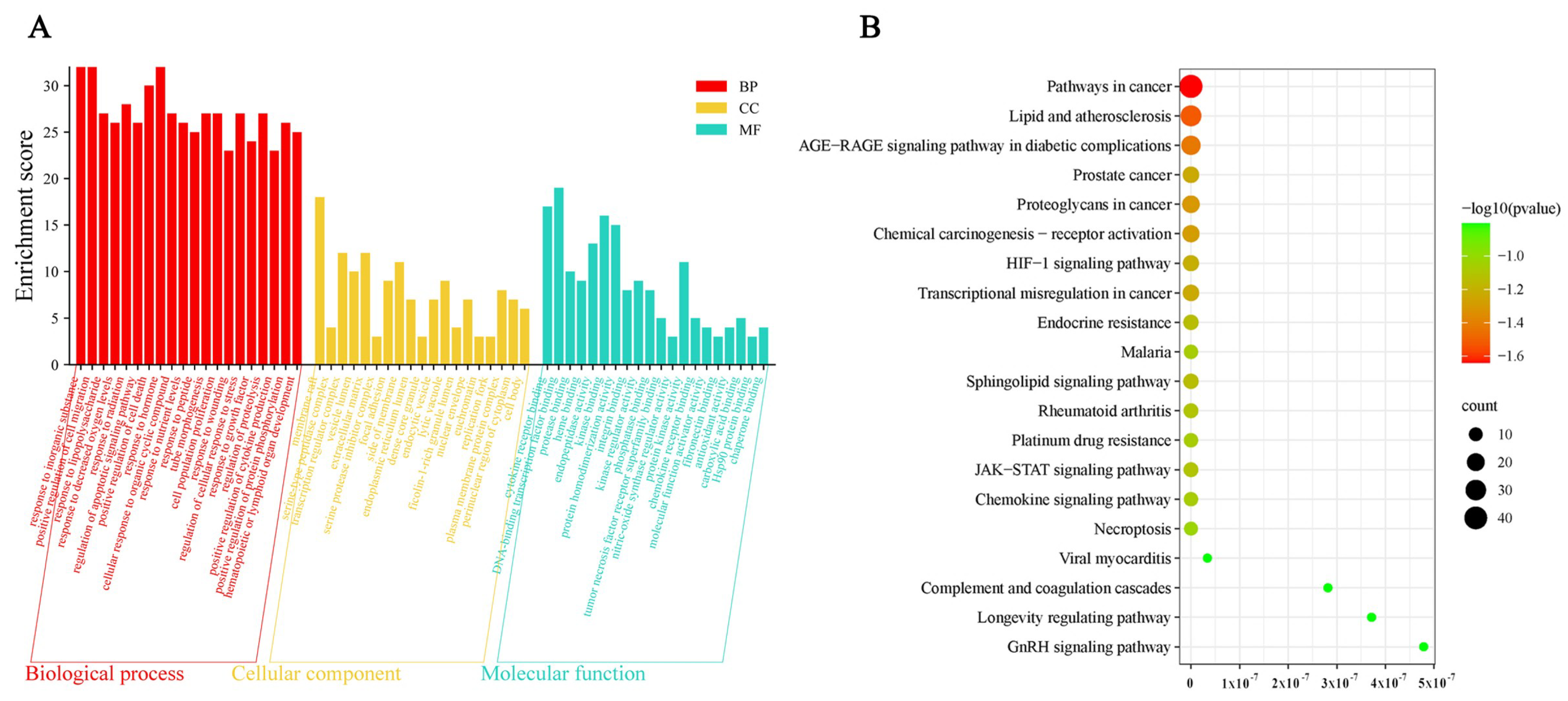 Nutrients 17 00627 g006