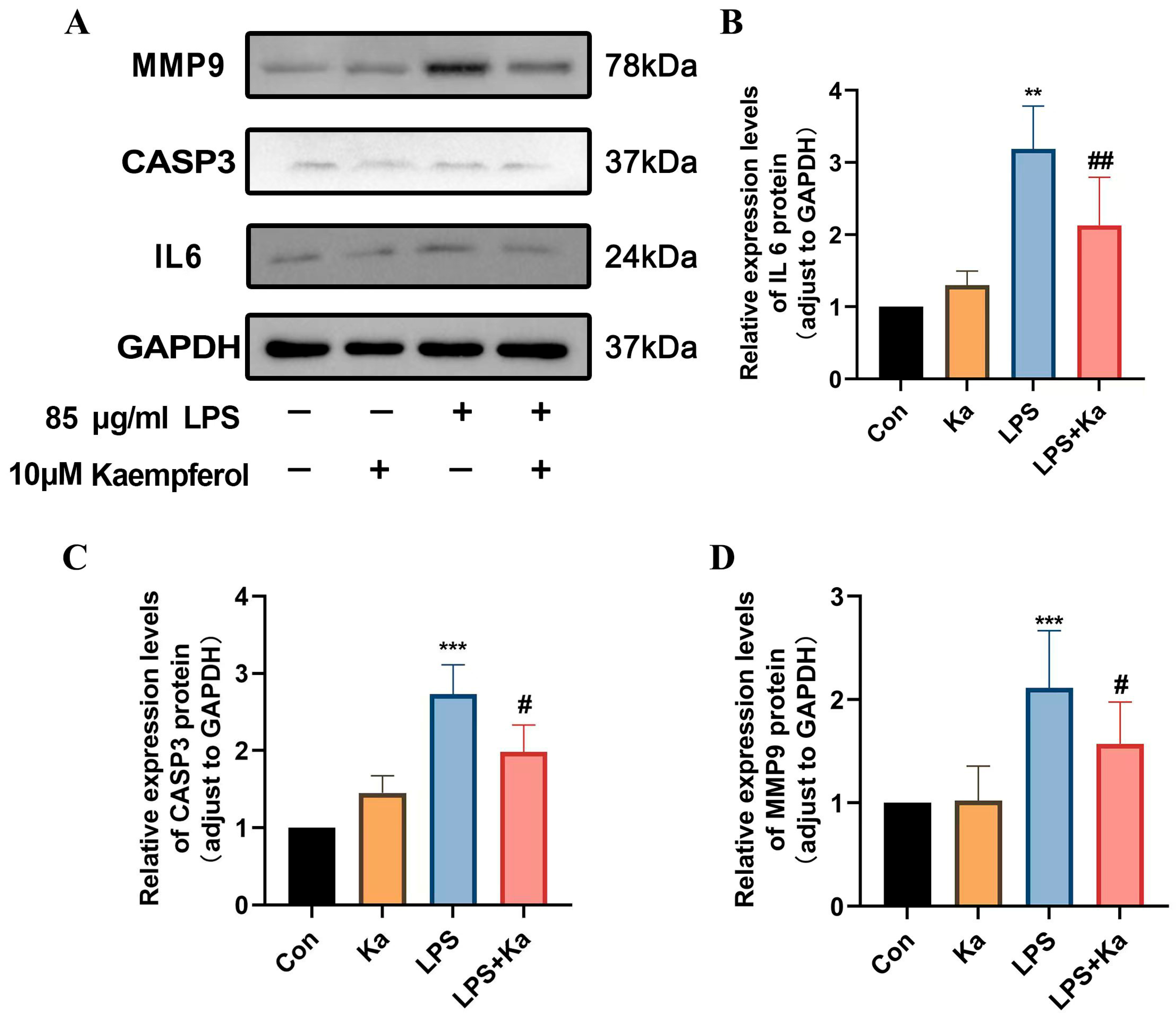 Nutrients 17 00627 g012