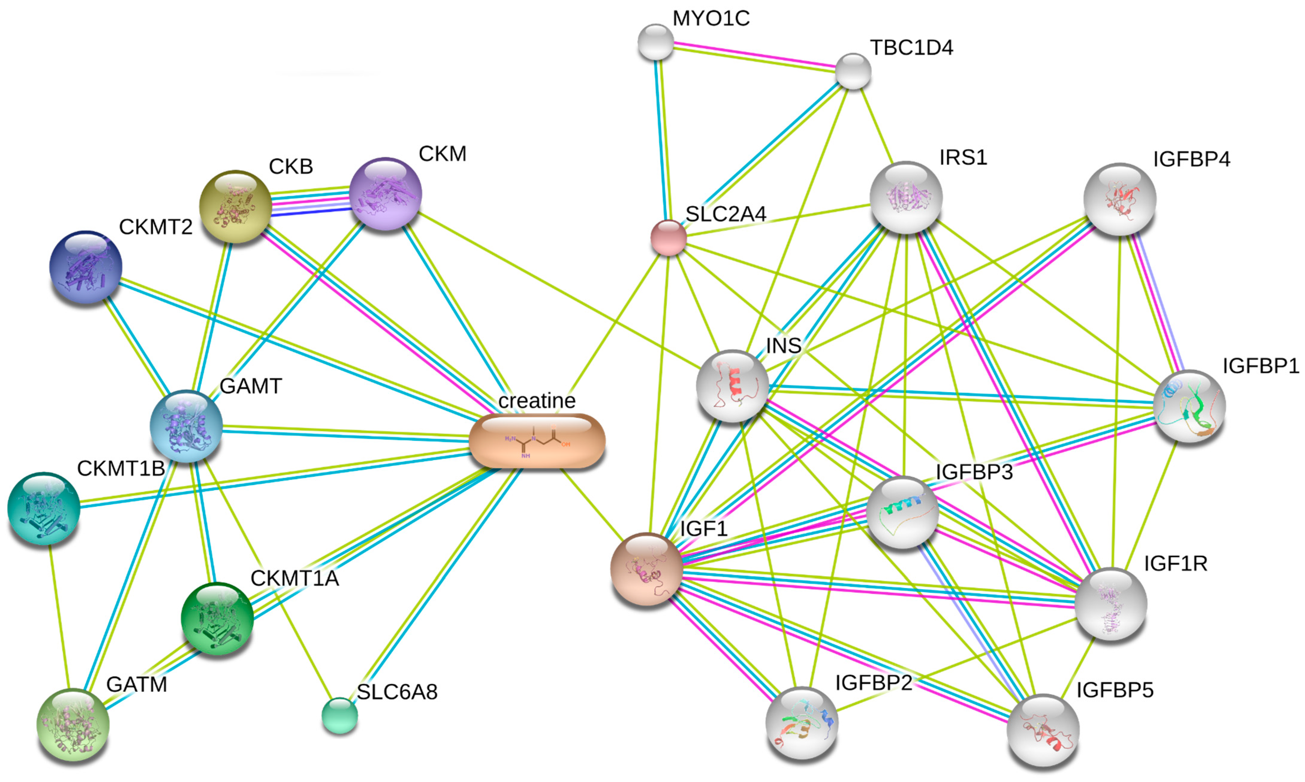 Nutrients 17 00651 g001