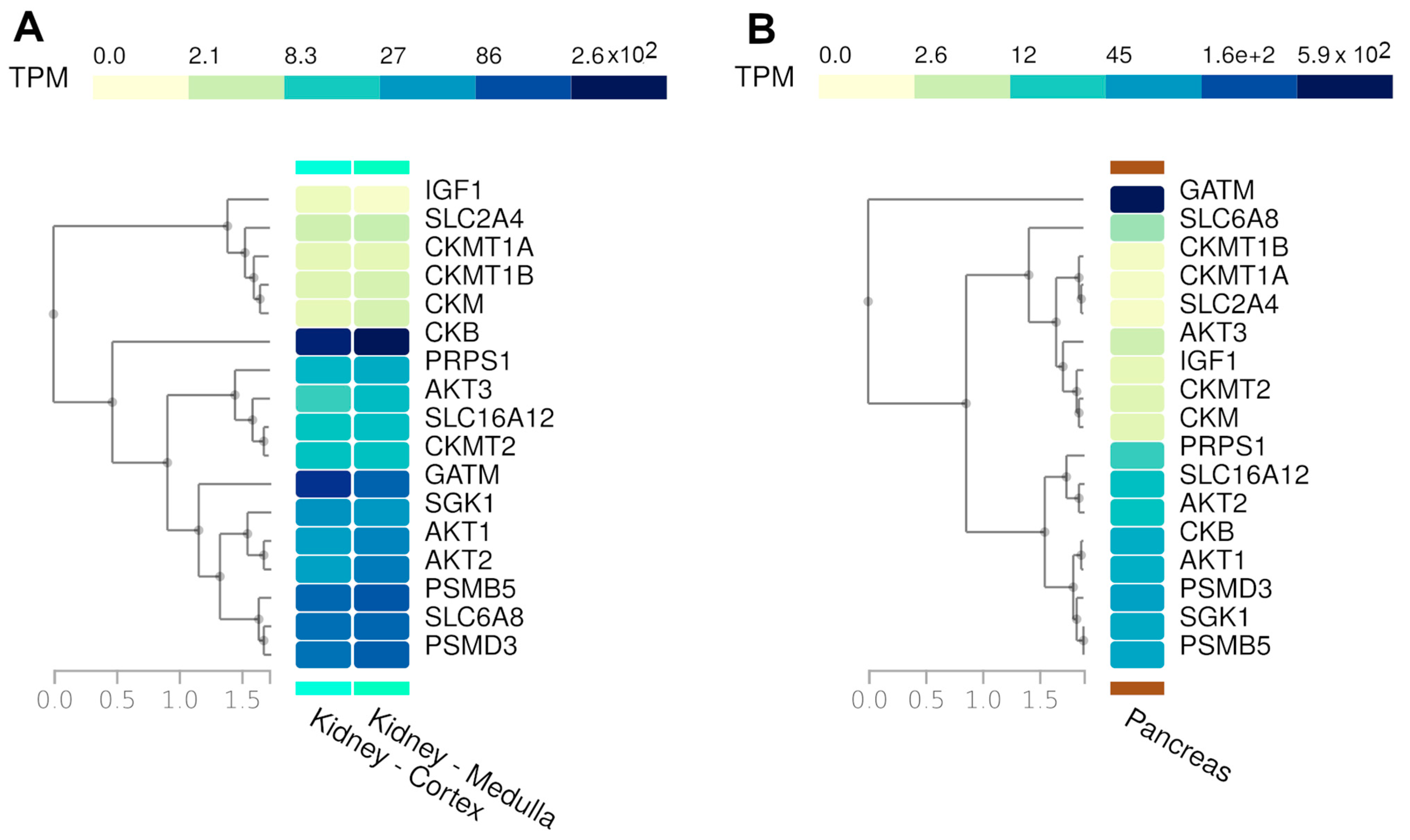 Nutrients 17 00651 g003