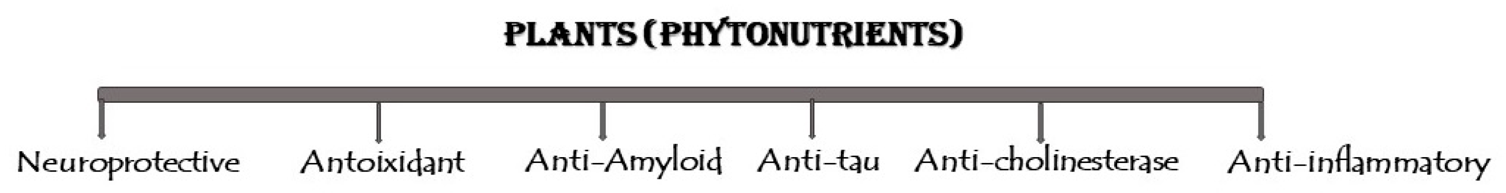 Nutrients 17 00653 g002 Nutrients 17 00653 g002