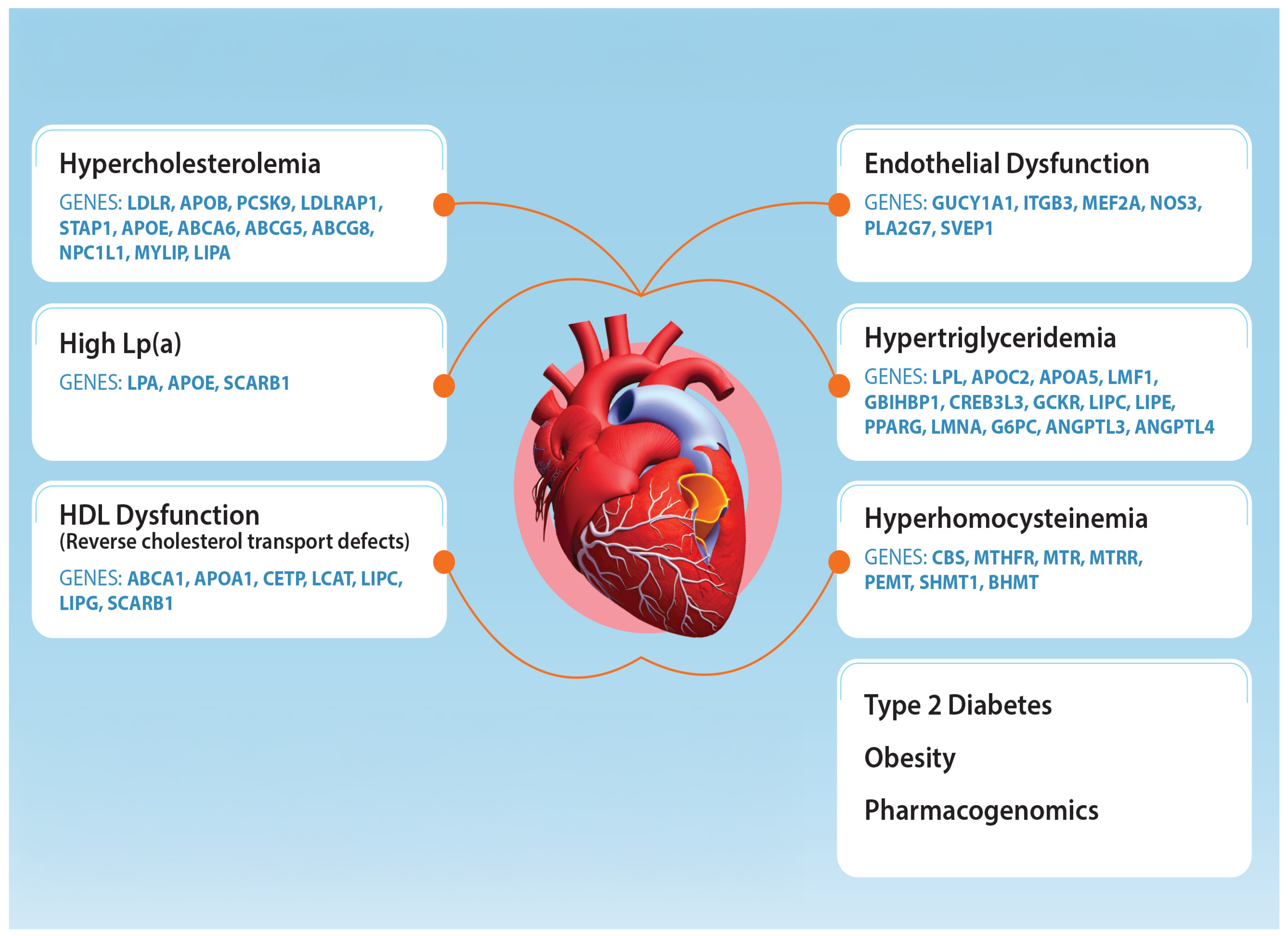 Nutrients 17 00659 g001 Nutrients 17 00659 g001
