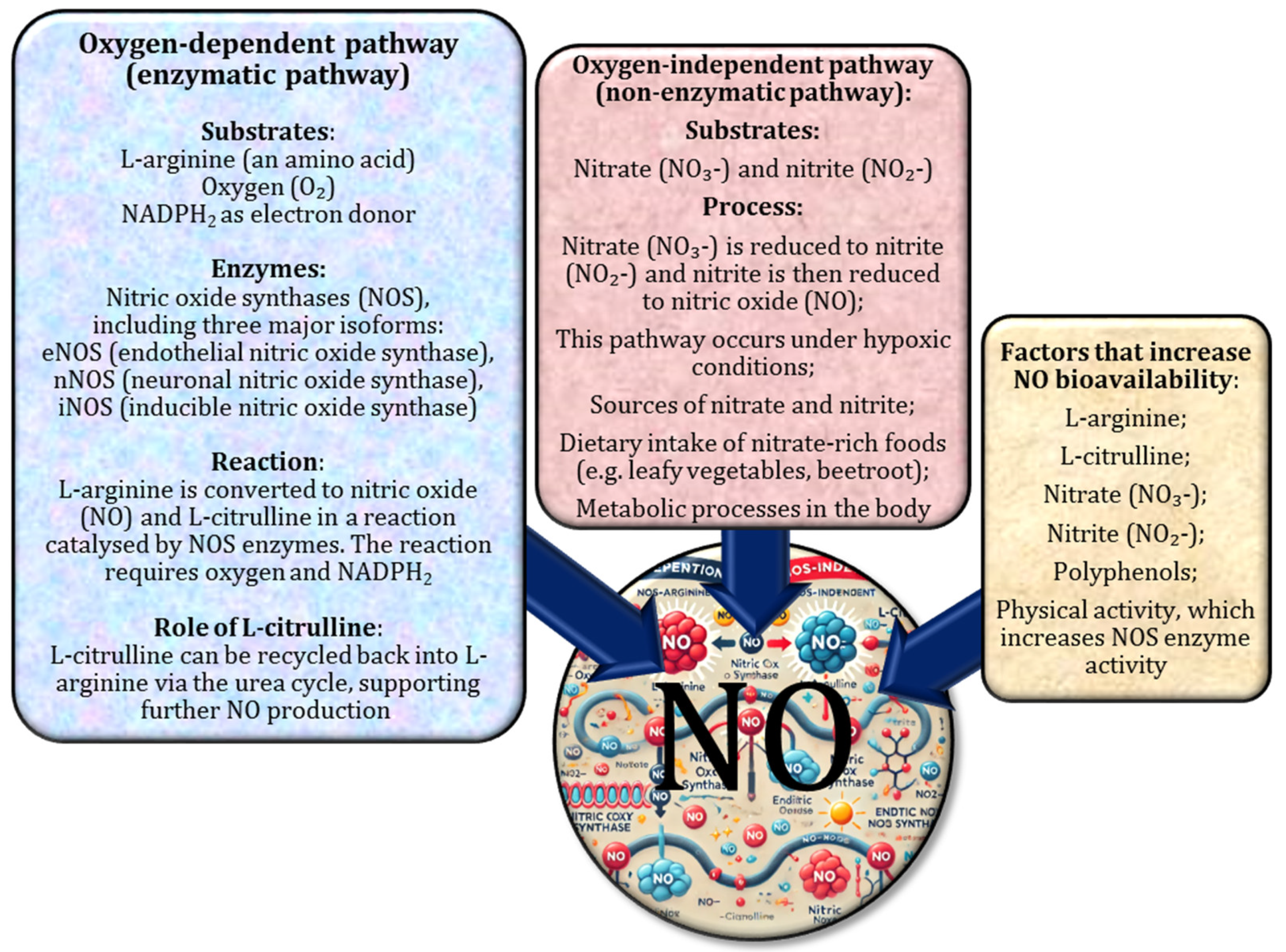 Nutrients 17 00665 g001